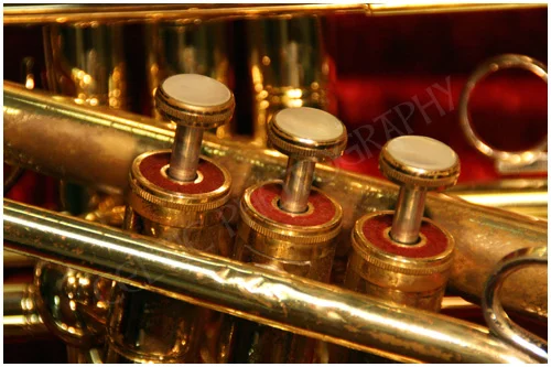 Trumpet Close up Pic #2