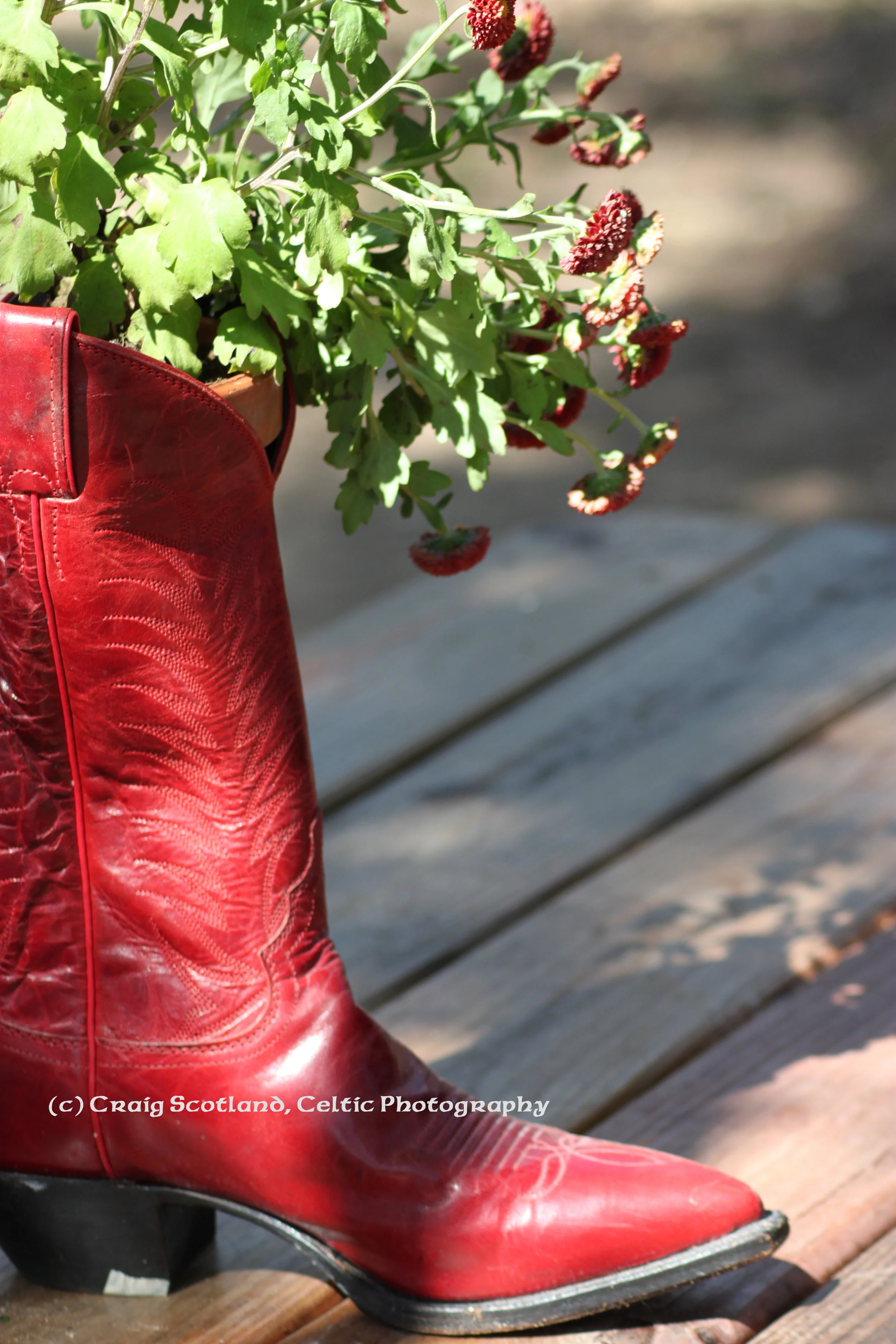 Cowboy Boot Planter, Hill Country