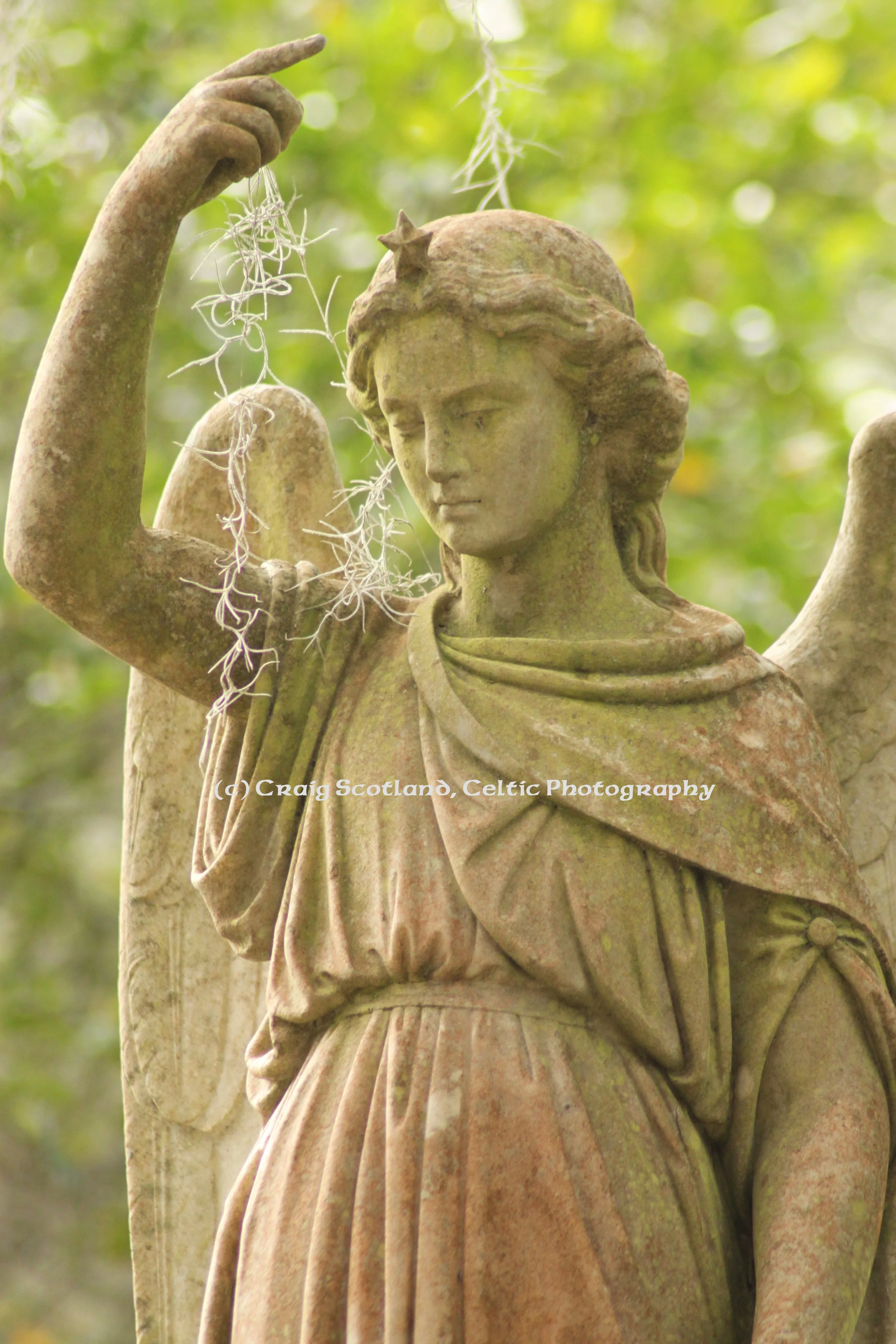 Angel, Bonaventure Cemetery: Savannah Georgia Pic #1