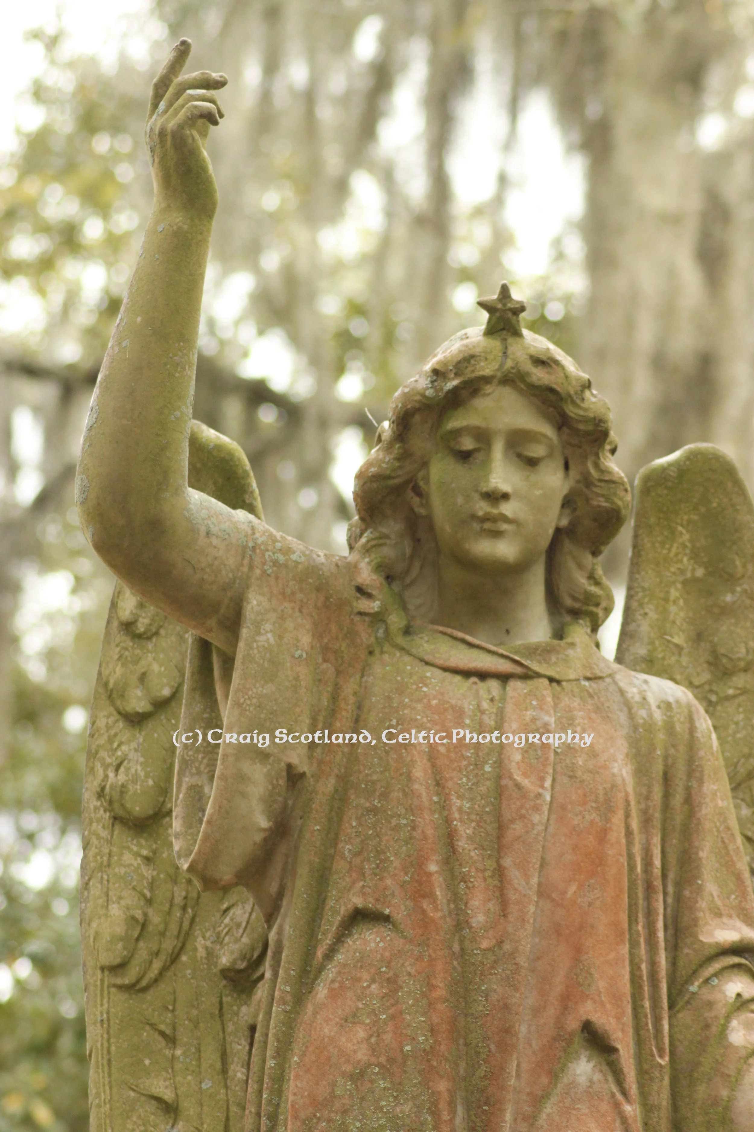 Angel, Bonaventure Cemetery: Savannah Georgia Pic #3