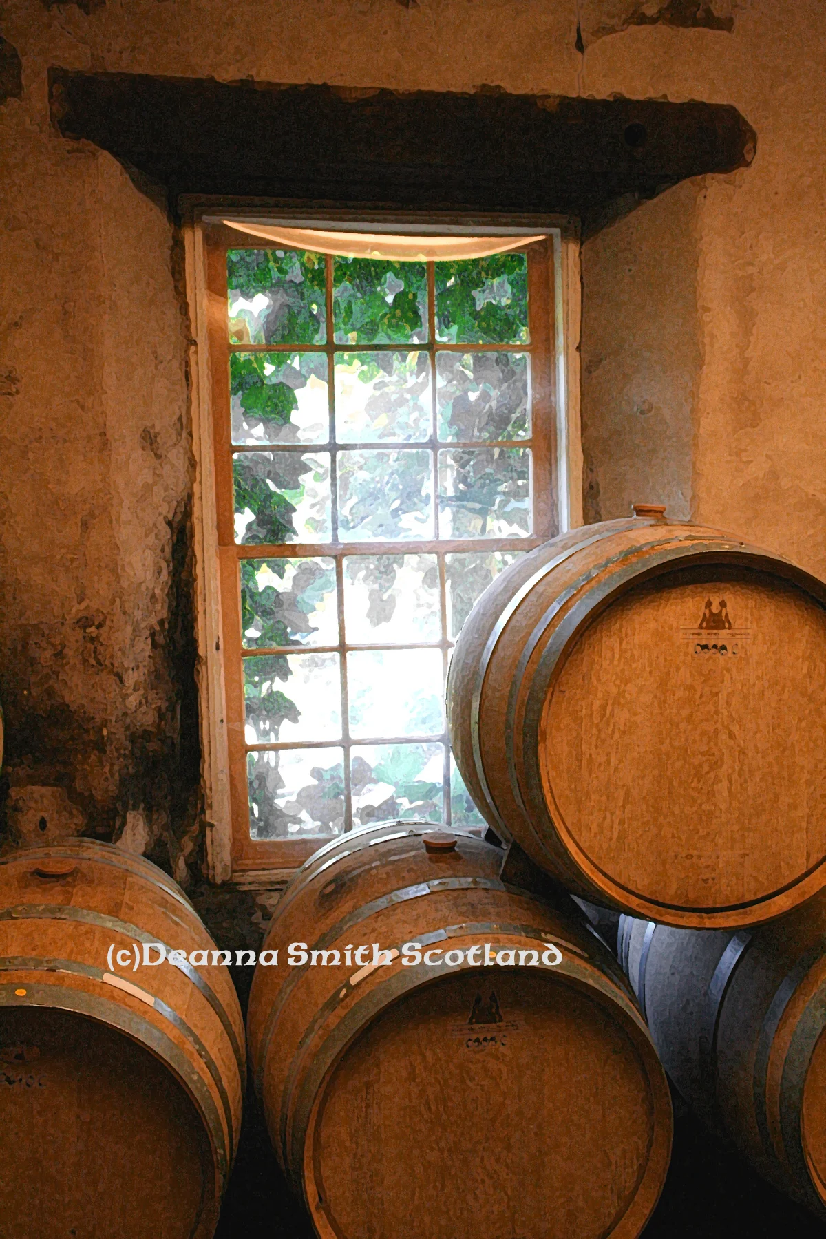 Wine Casks: Wollersheim Winery, Prairie Du Sac