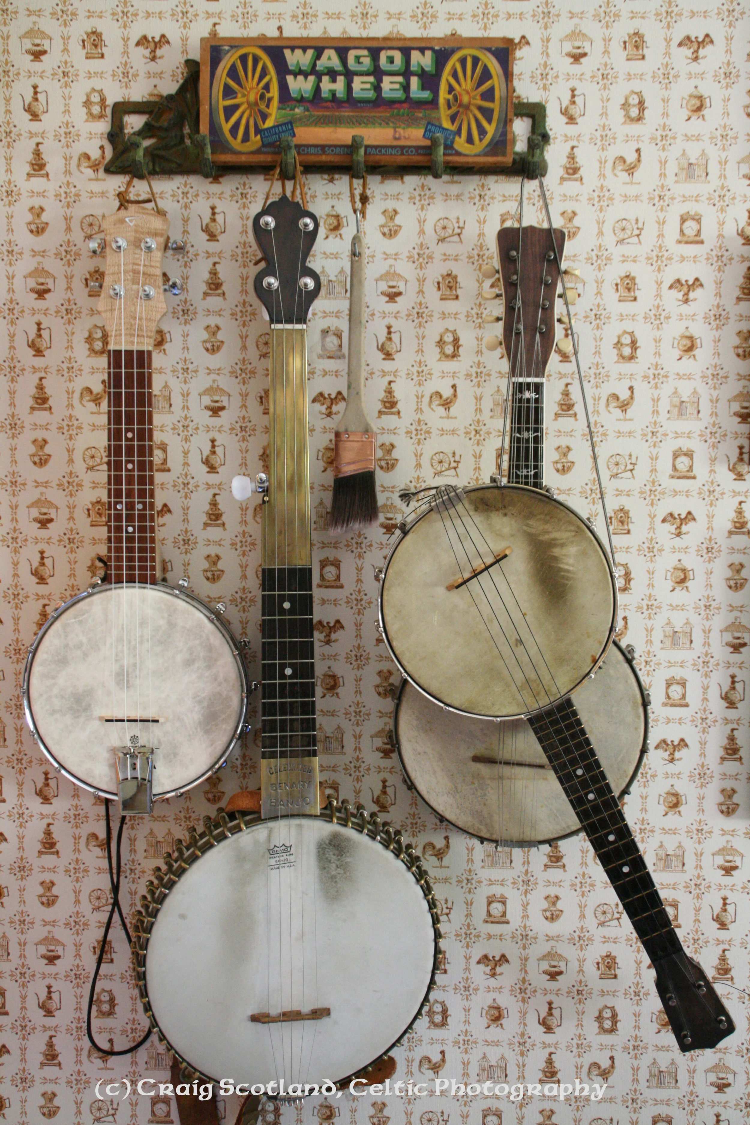 Jack's Banjo wall Pic #1