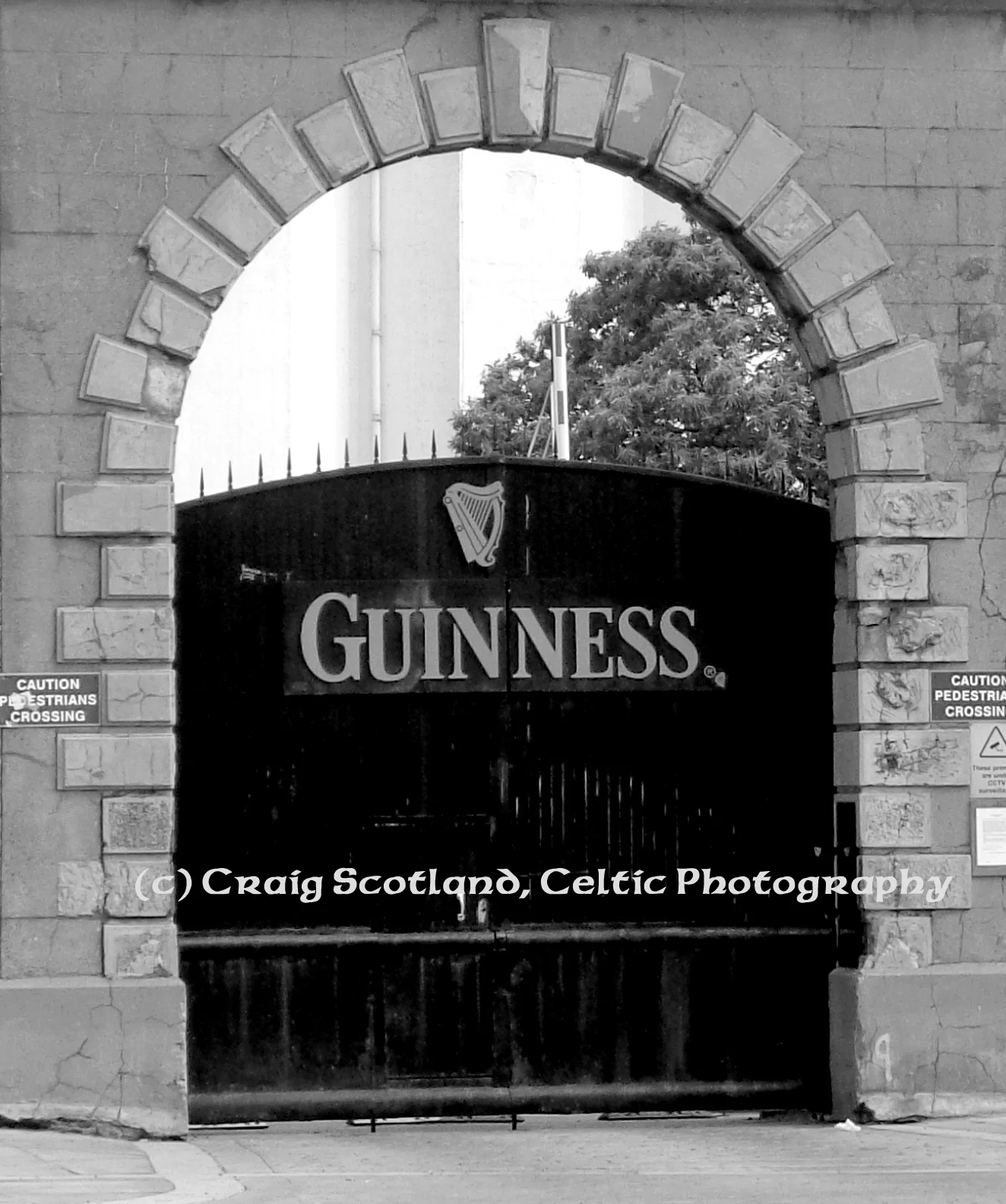 St. James Gate Brewery, Dublin Pic #2