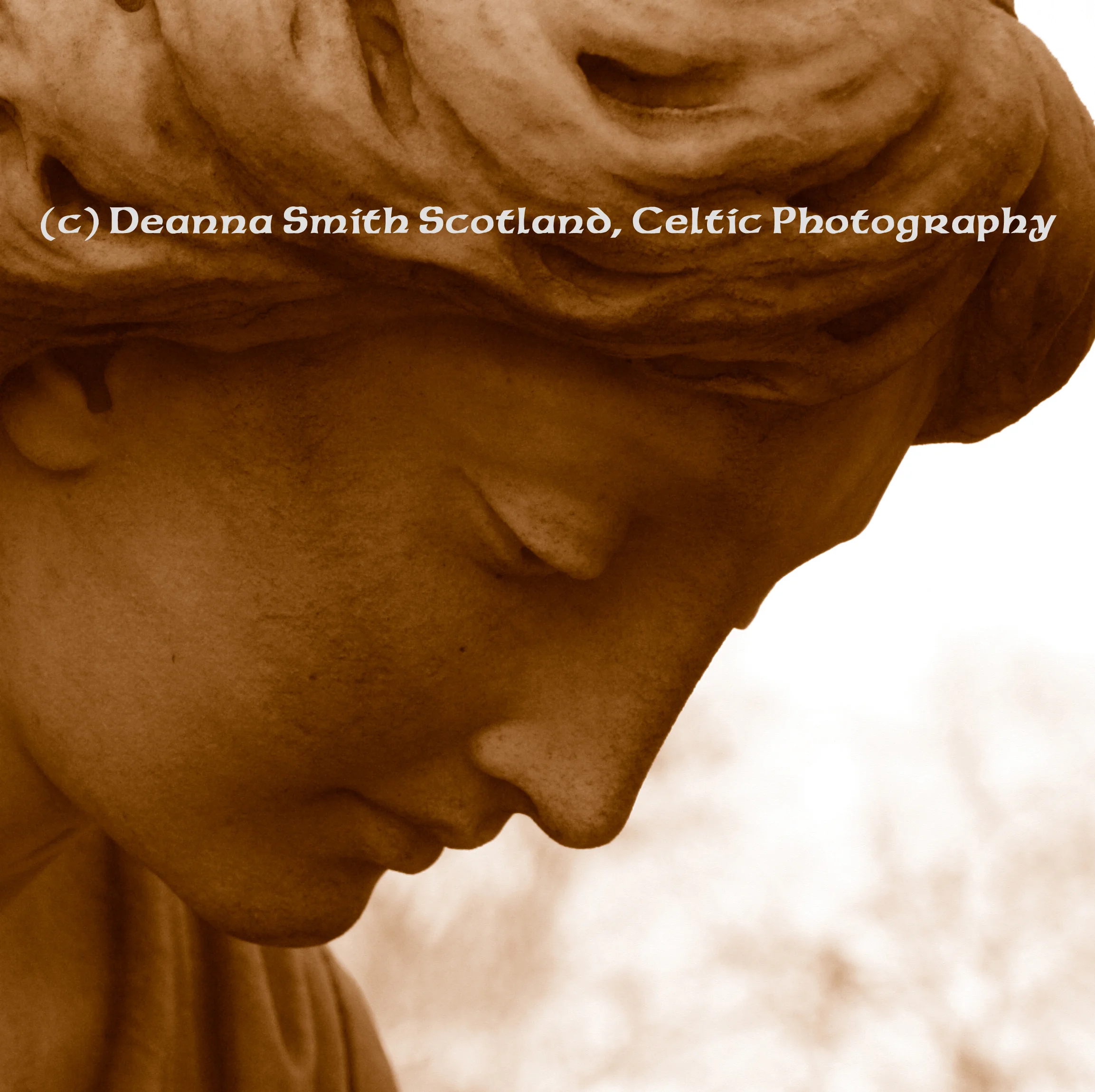 Sepia Square Angel, Pic #4