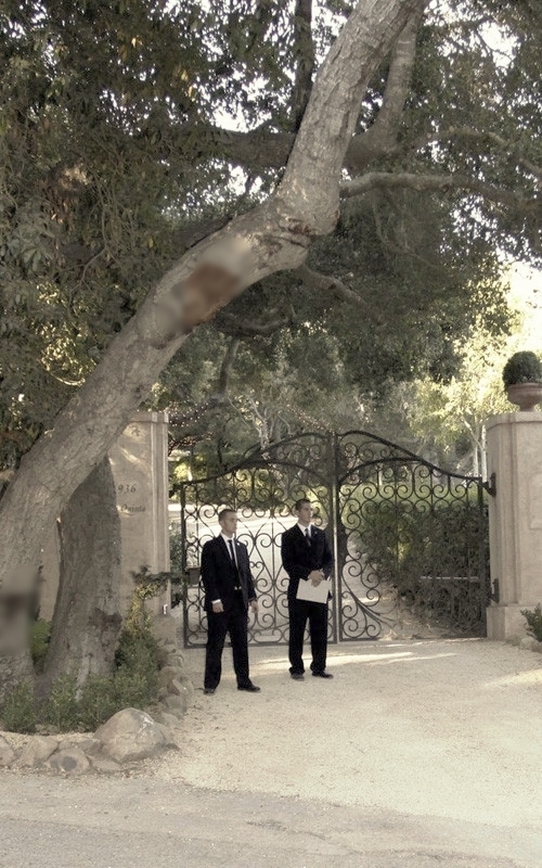 Estate security.jpg