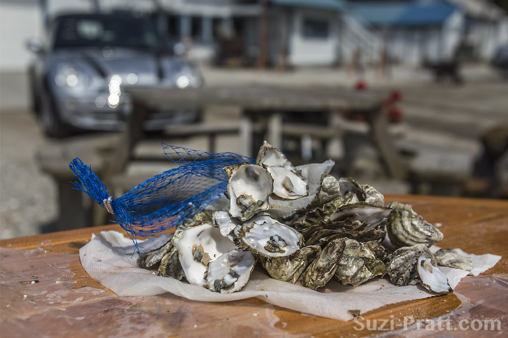 Itinerary: Things to Do in Bow-Edison, Washington