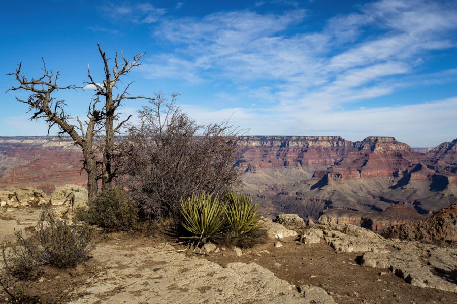Pratt_Grand-Canyon-Arizona_05.jpg