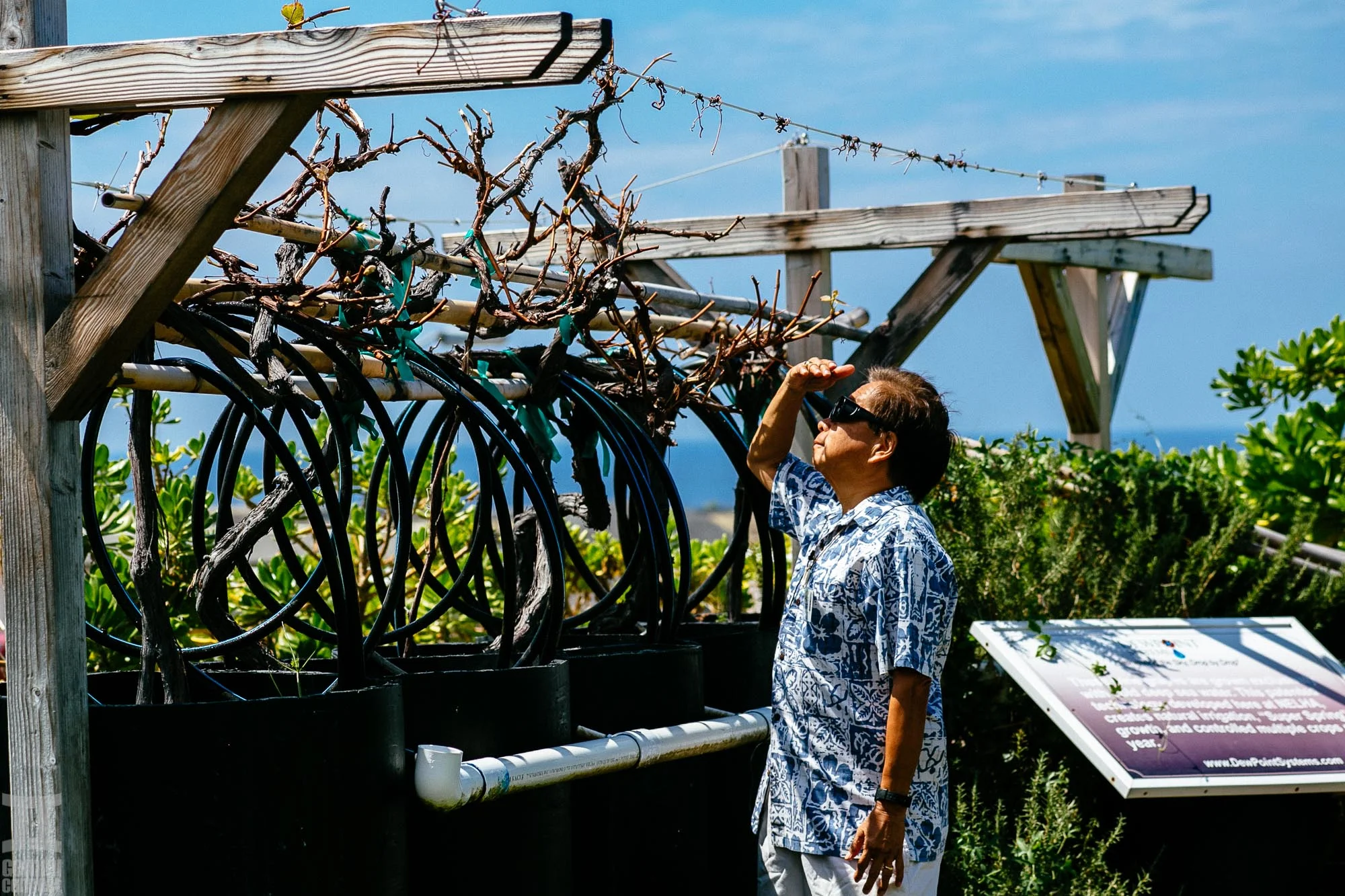 Natural Energy Laboratory of Hawaii