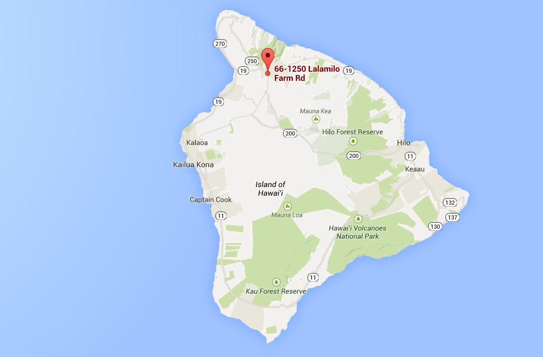 Rare Hawaiian kiawe honey