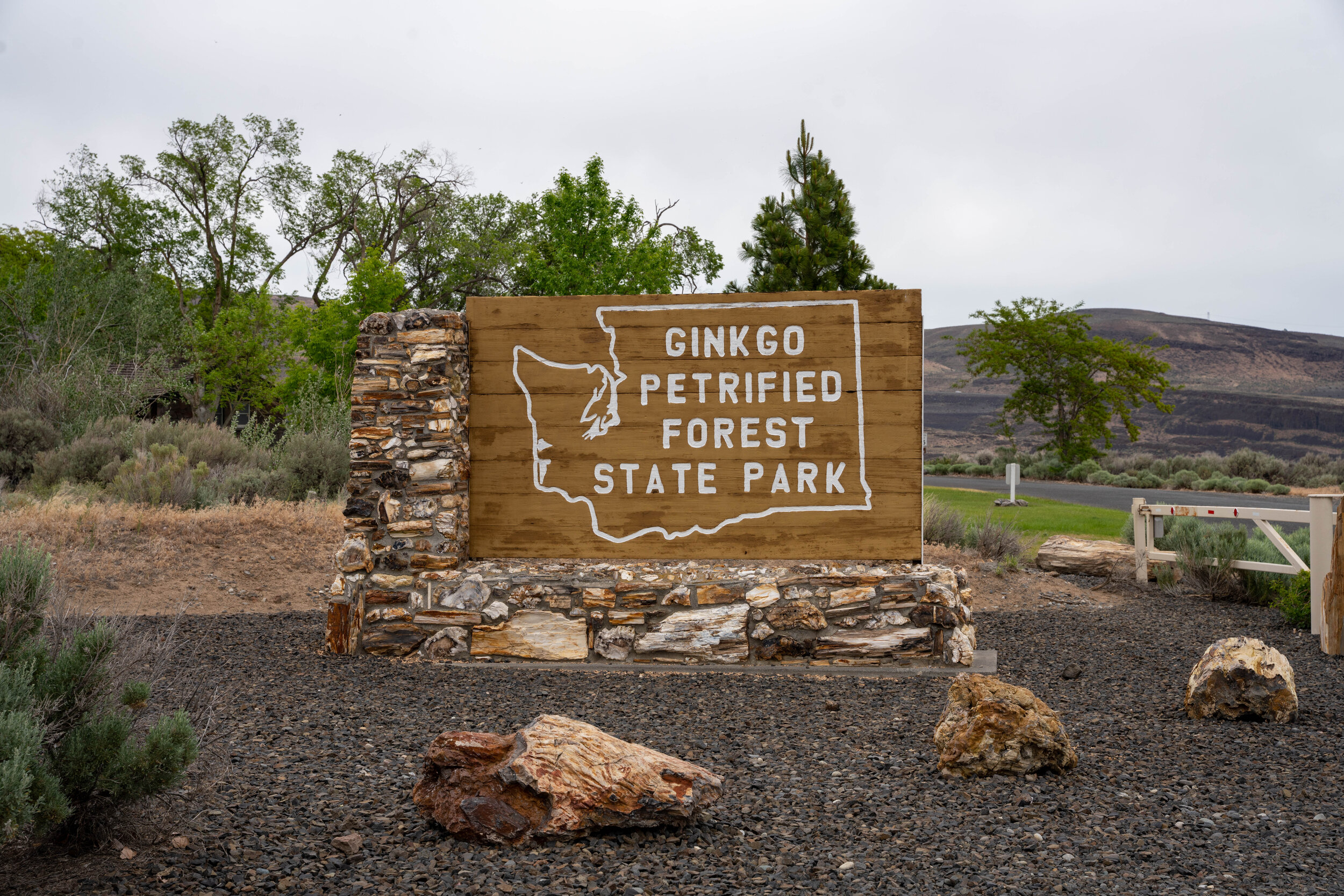 Gingko Petrified Forest-04134.jpg