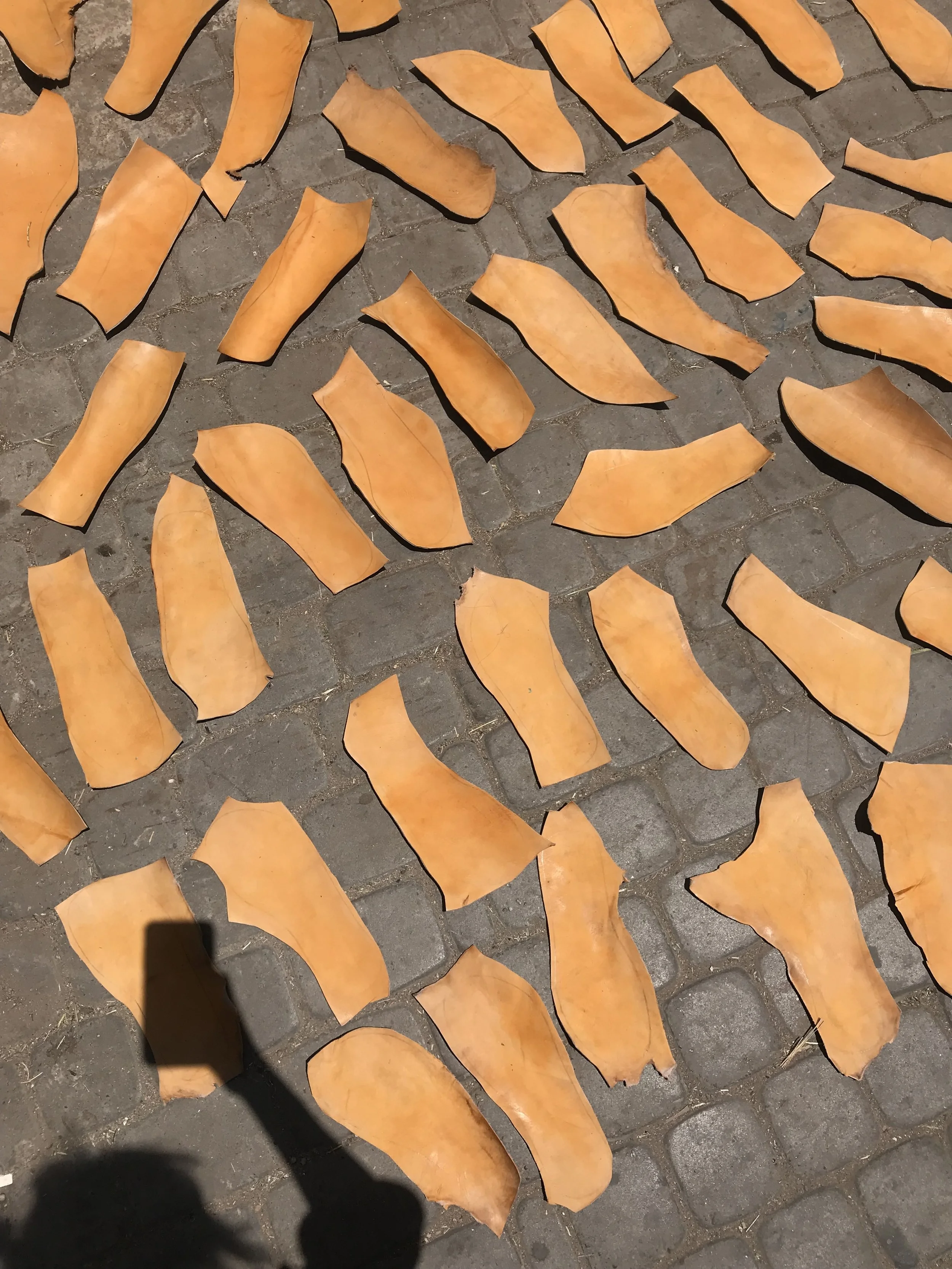 Development of shoes