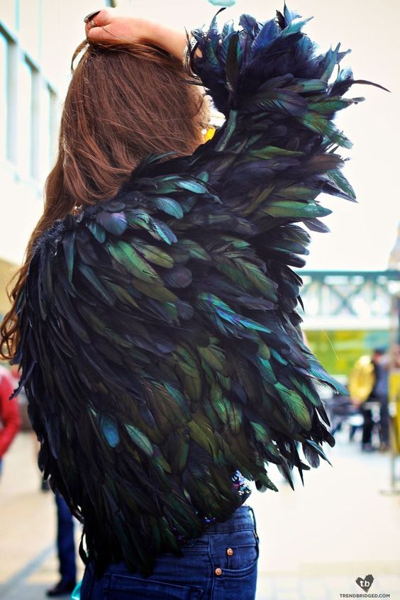 feathers.jpg