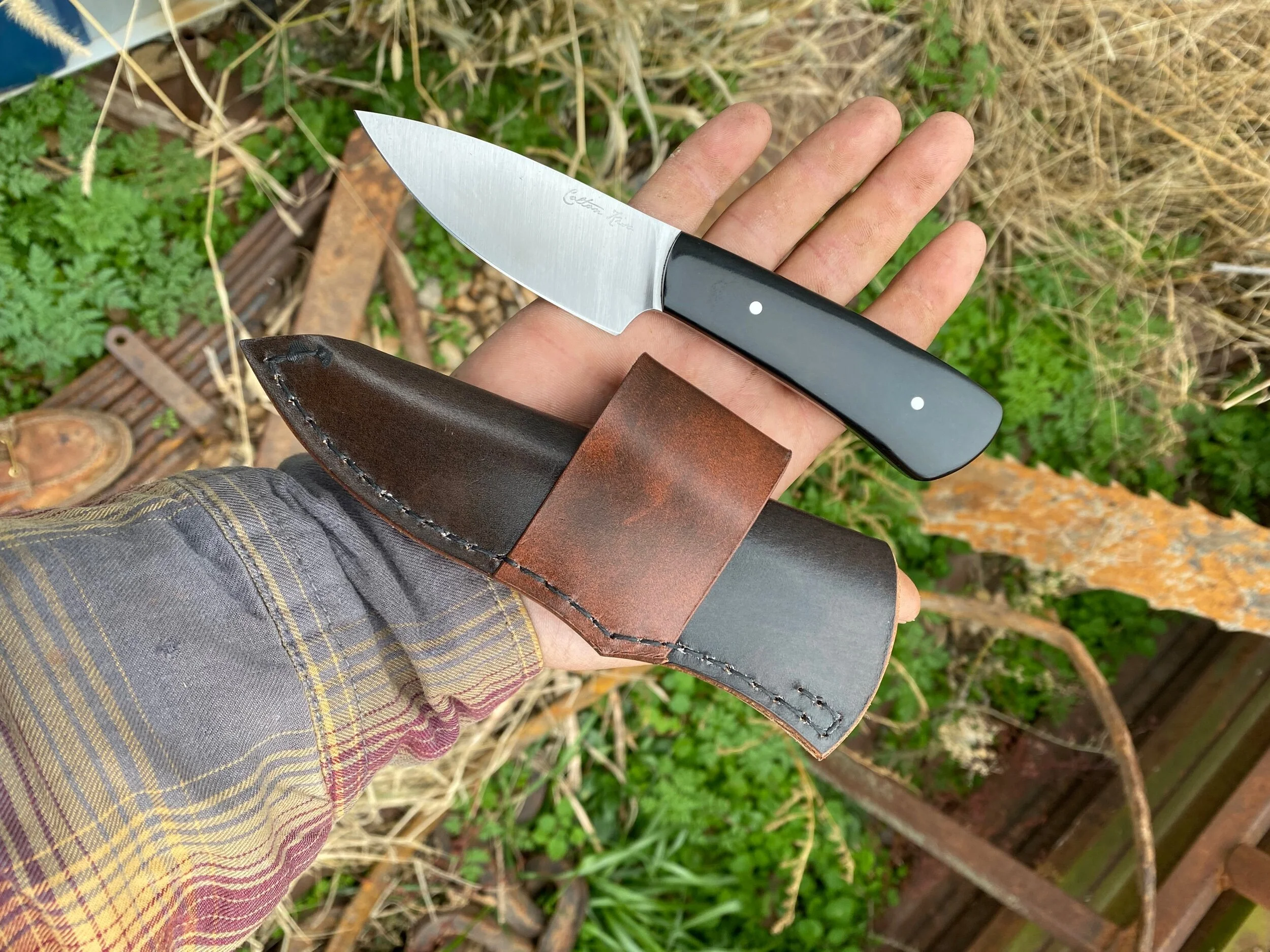 F41E7B4A-BB6D-4E5B-AE80-199EC59E5821