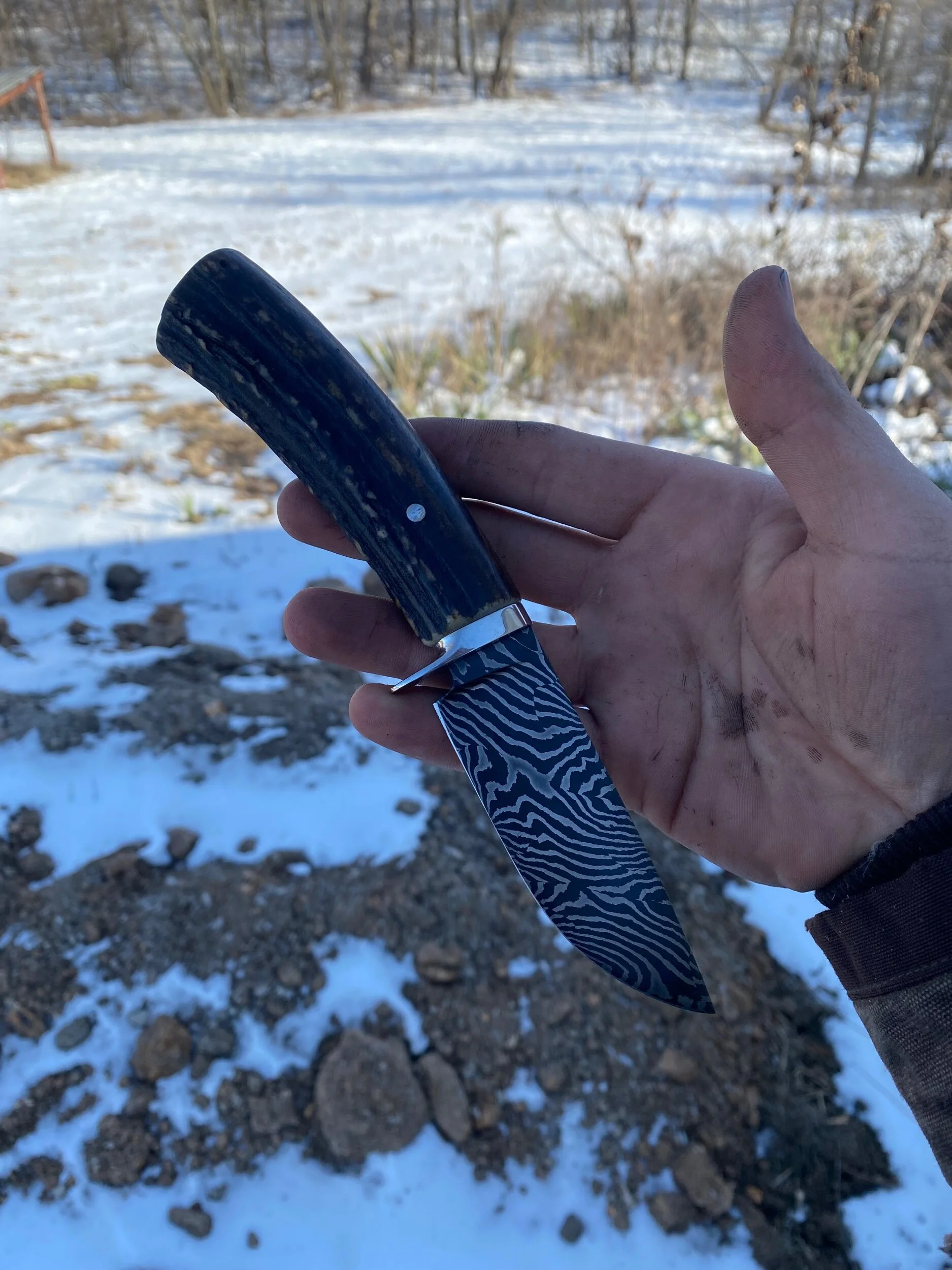 F8E9F23B-DEC8-4015-A6E1-62D91DA1AB02