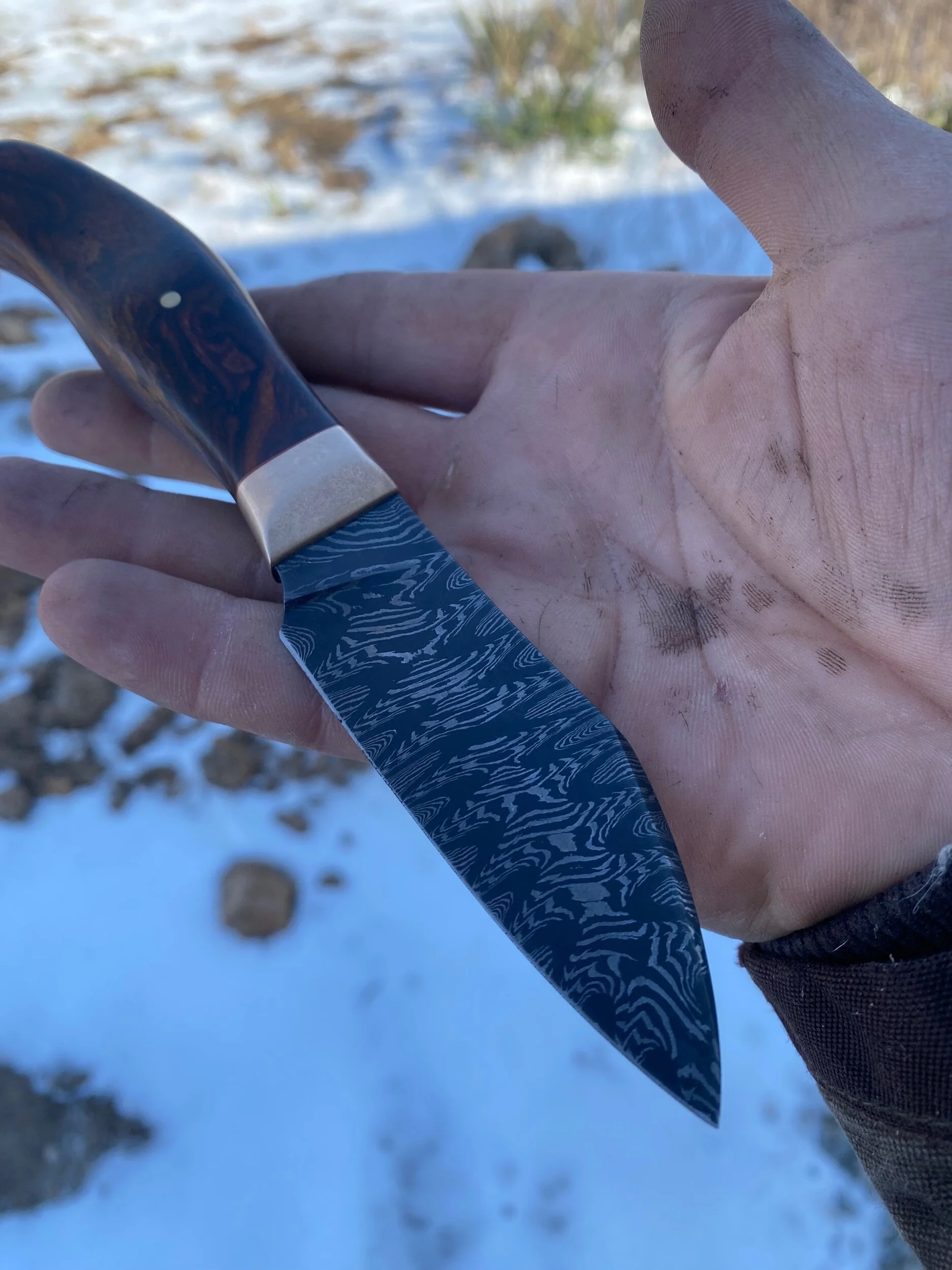 7BA5BF49-A99C-454D-B92F-8216F546563A