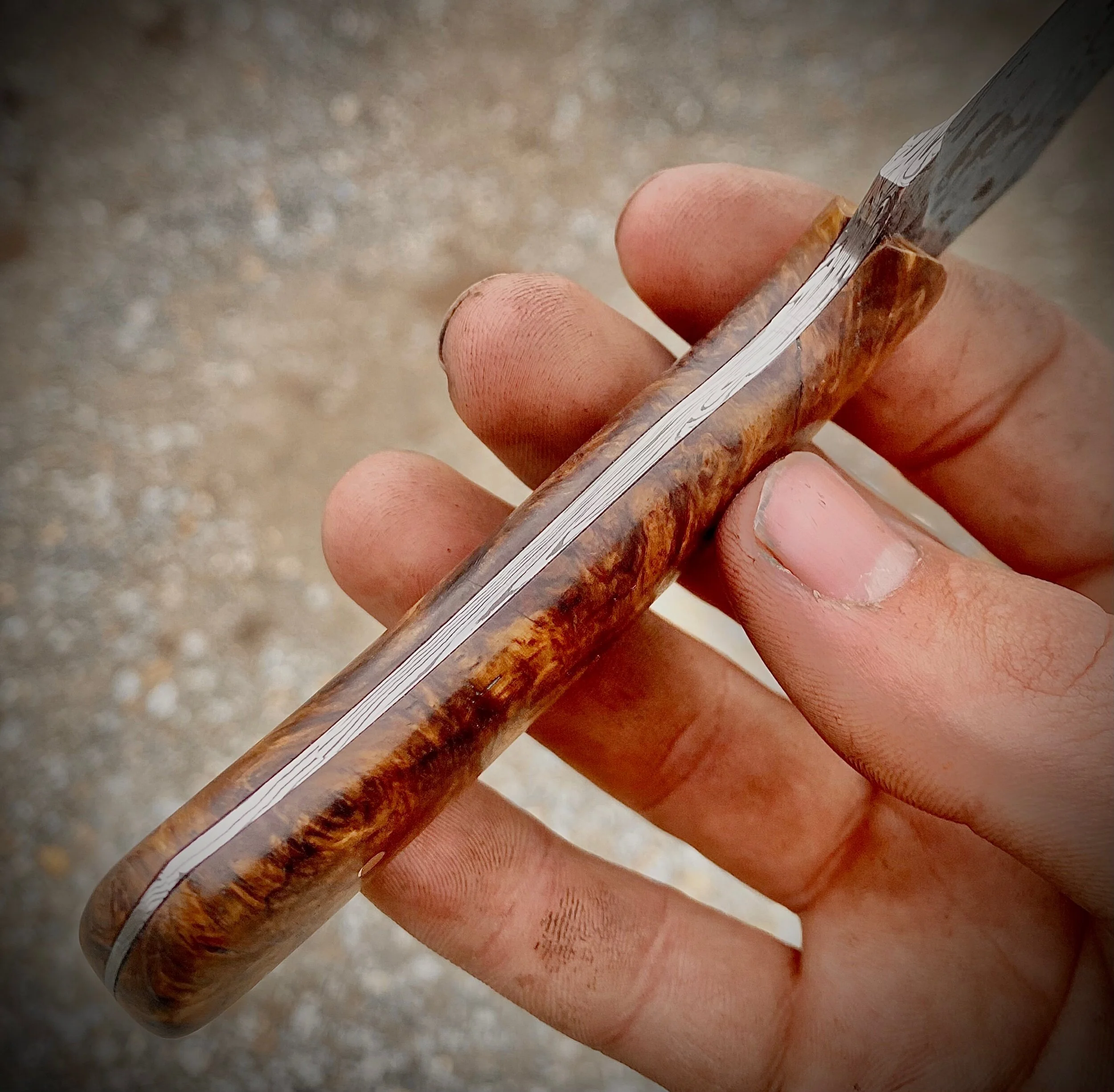 EB28E0D4-1FFE-4EF0-A825-15713073B2B7