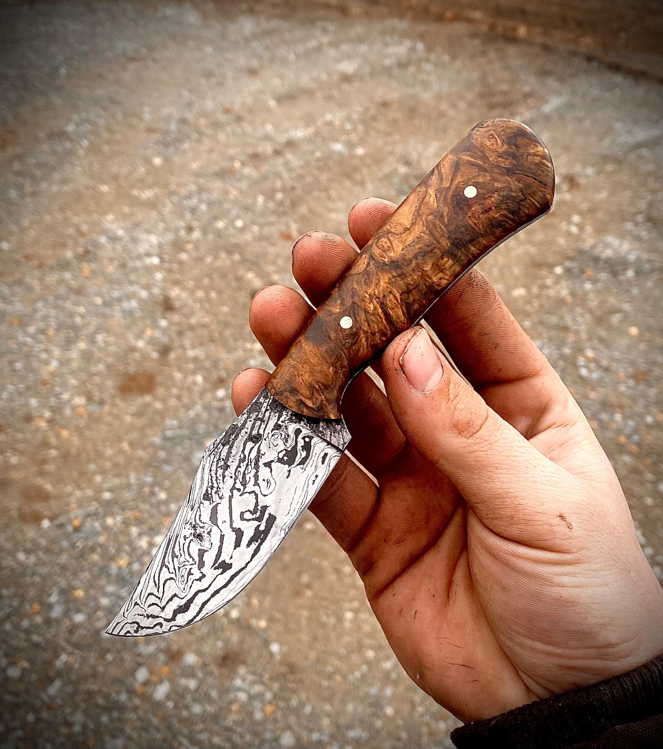 1D049FDA-3657-4FA4-A603-1465A0C4354A