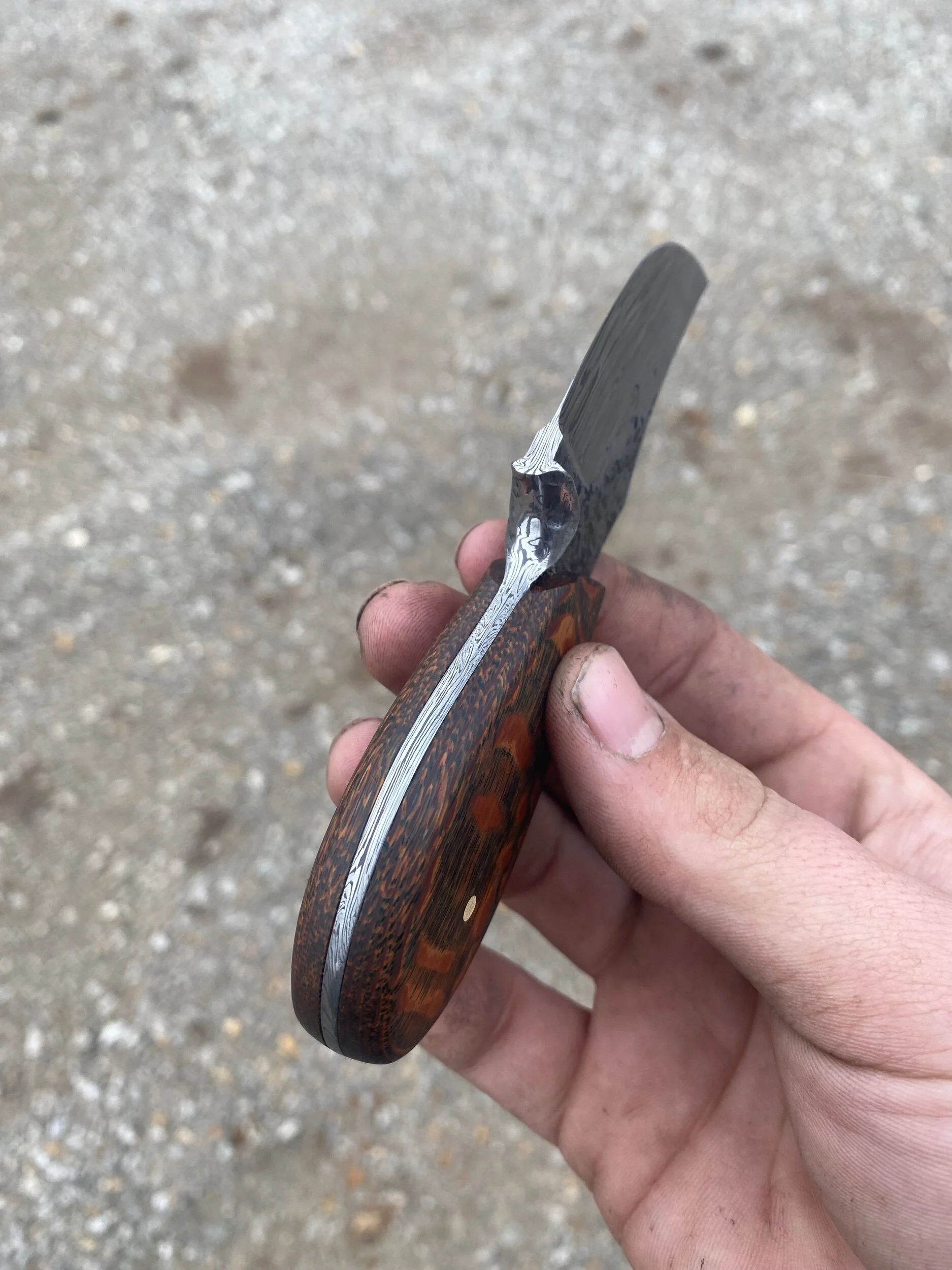 FBBADBC5-F4BB-4EC9-BA3B-C5DAA05BB8F0