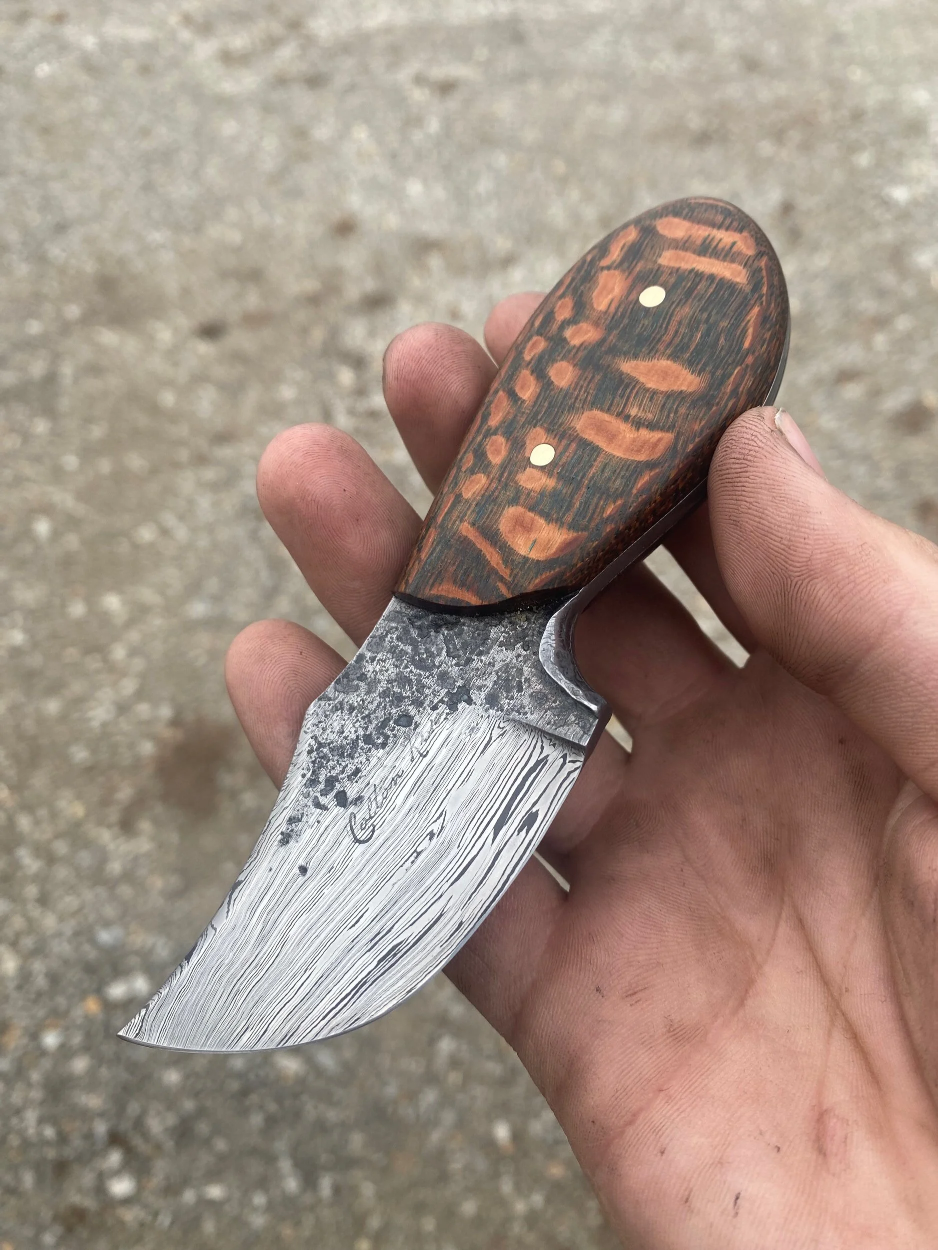 A80DBC52-87E7-4731-8F95-46246FE481C1