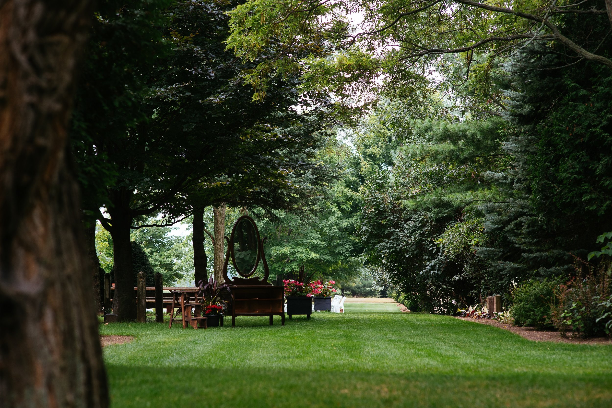 Tree Covered Grounds