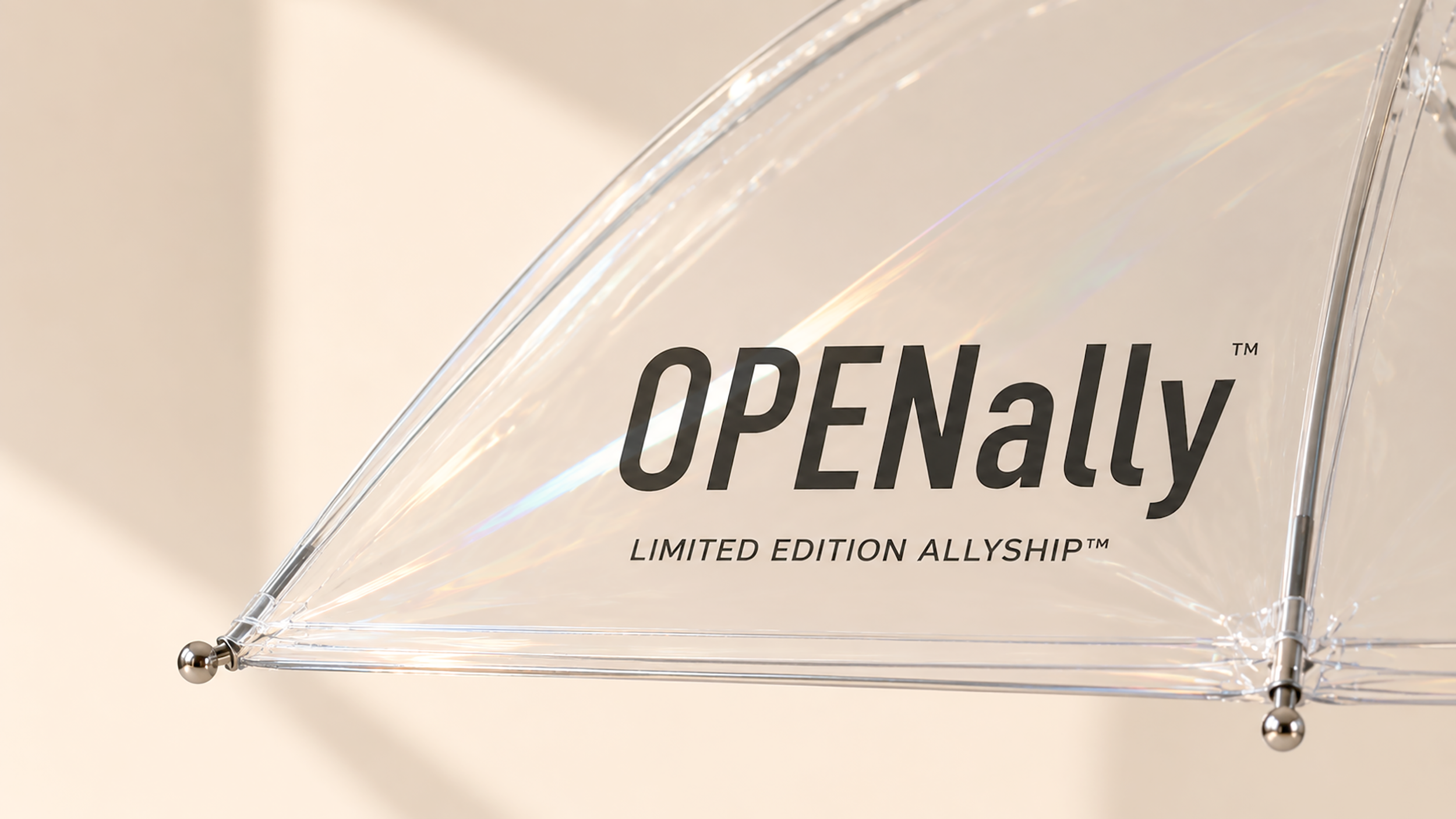 open_Ally.png