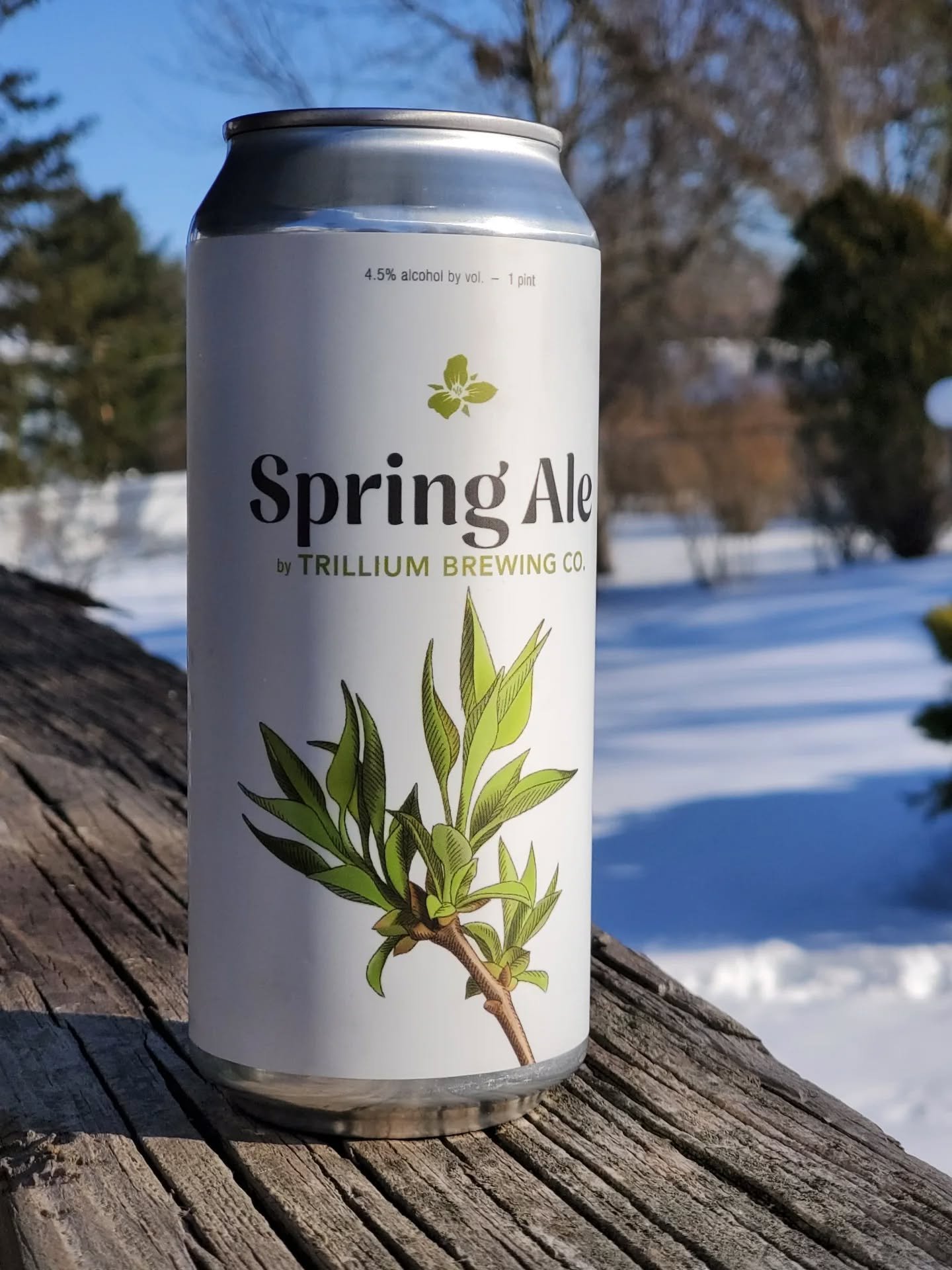 Spring (ale) is here! Spring Ale from Trillium is a 4.5% ale with lemon, chamomile, and coriander- grab some today to enjoy in the sunshine and think Spring🌱

#trillium #trilliumbrewing #springale #lemonchamomile
