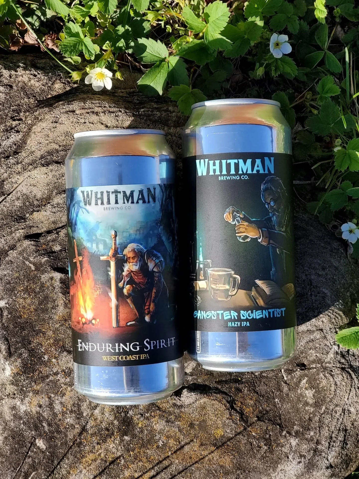 Just in from Whitman! Enduring Spirit West Coast IPA, and Gangster Scientist hazy IPA🍺 Perfect options if you were split between indulging in something local or enjoying the comfort of your own home. Happy Friday!

#ipa #westcoastipa #whitmanbrewing