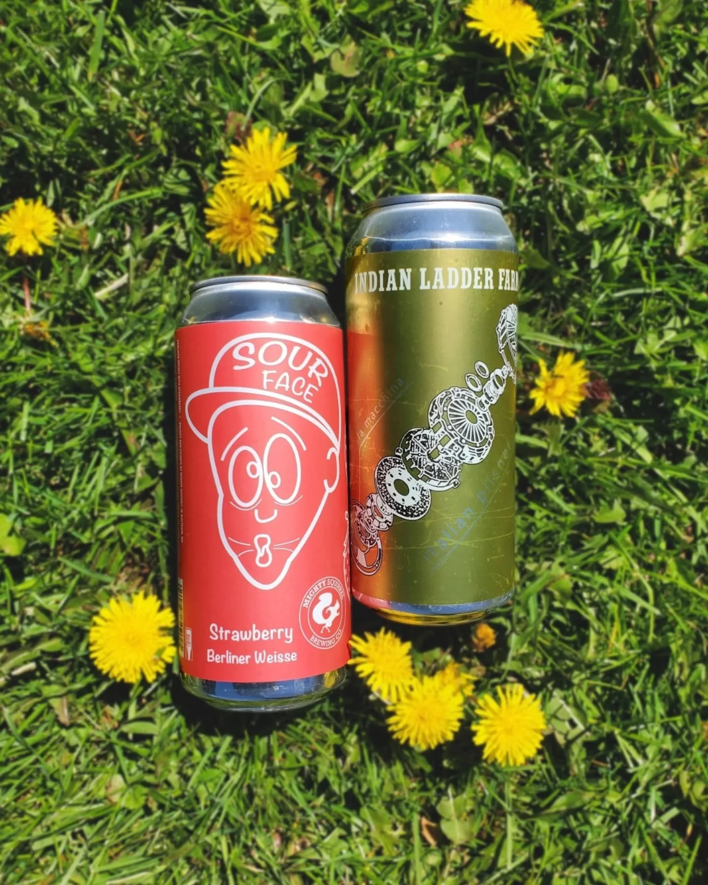 It's a beautiful day! Grab something light and refreshing like Mighty Squirrel's strawberry berliner weisse, or Indian Ladder's Italian pilsner and sit back and enjoy the sun🍻

#strawberrysour #berlinerweisse #strawberryberlinerweisse #pilsner #ital