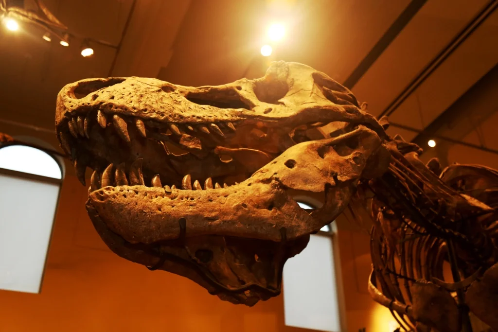 Other Guests - Chompers.JPG