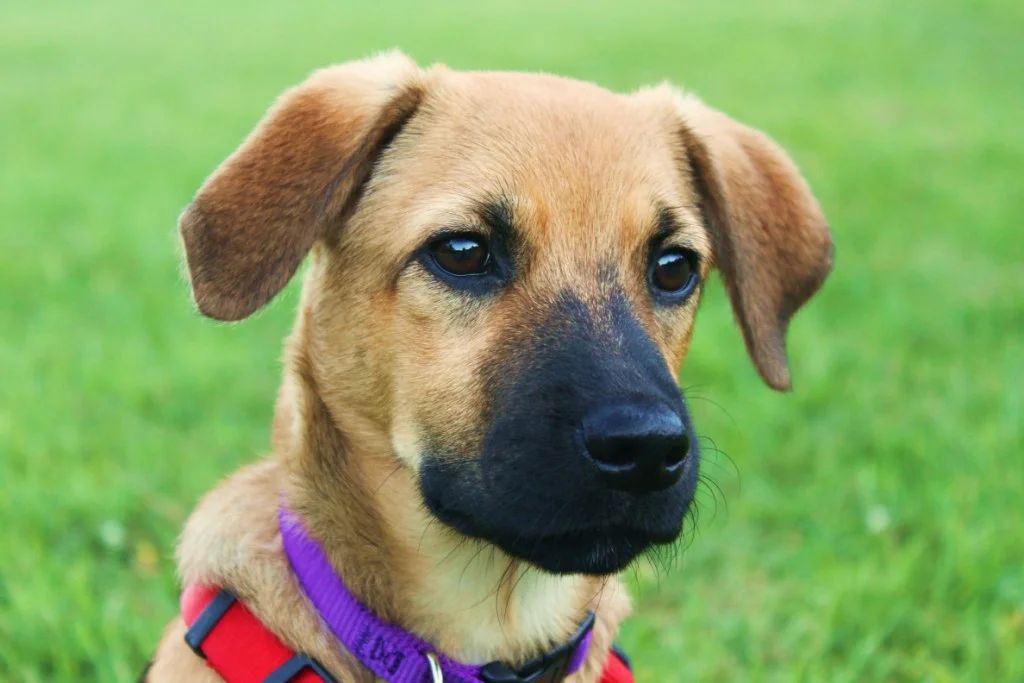 2010-08-16 - Colby's Portrait.JPG