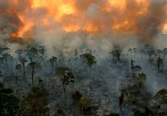 Burning of Amazon rainforest to make way for cattle pasture. (photo: Dado Galdier, The Guardian/AP)
