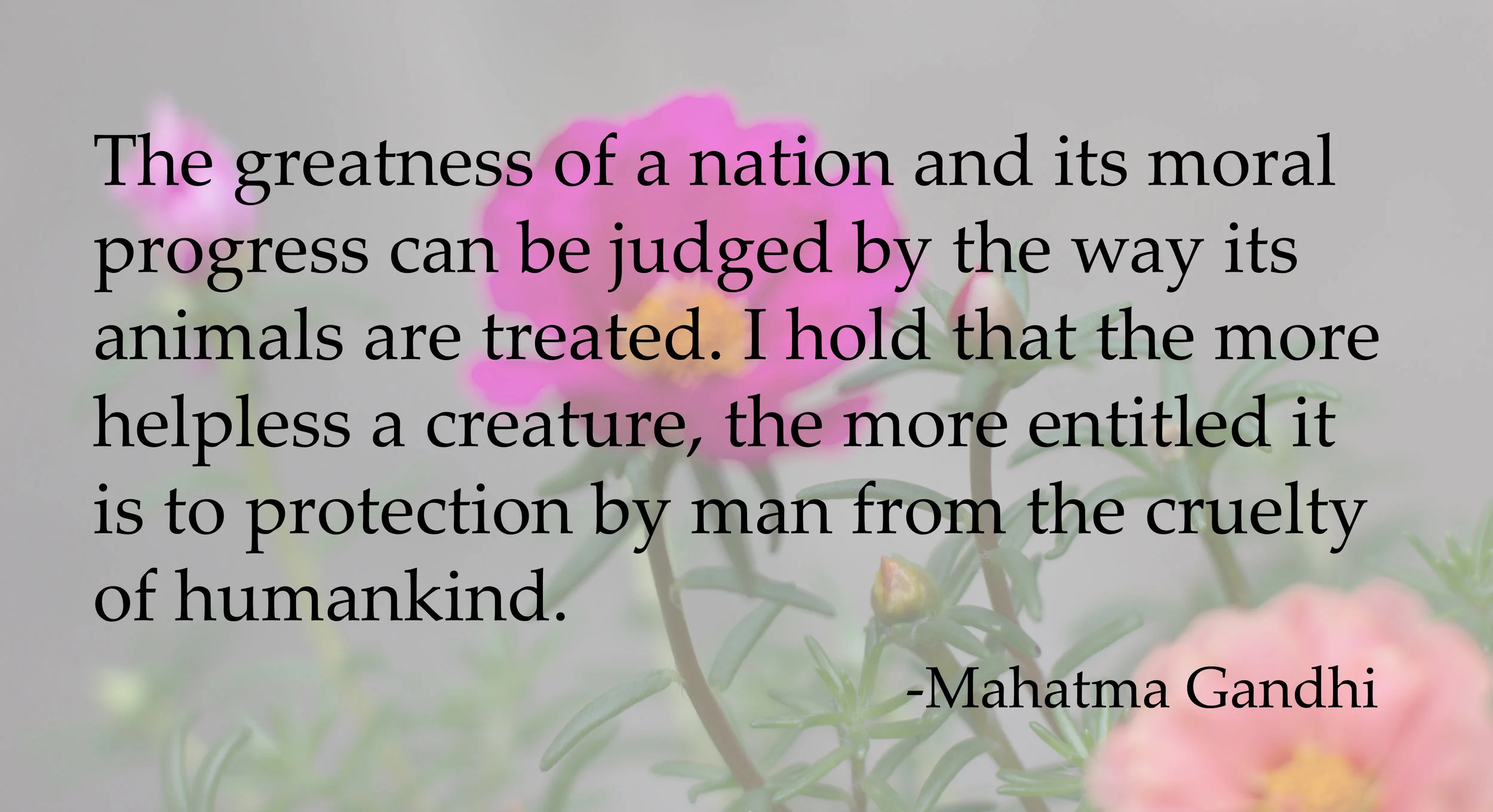 gandhi quote 50.jpg
