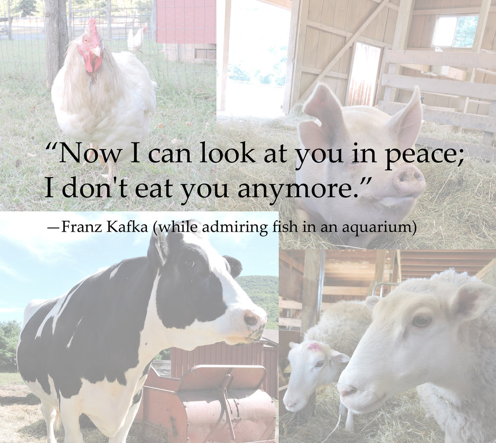 Quotes — ny farm animal save