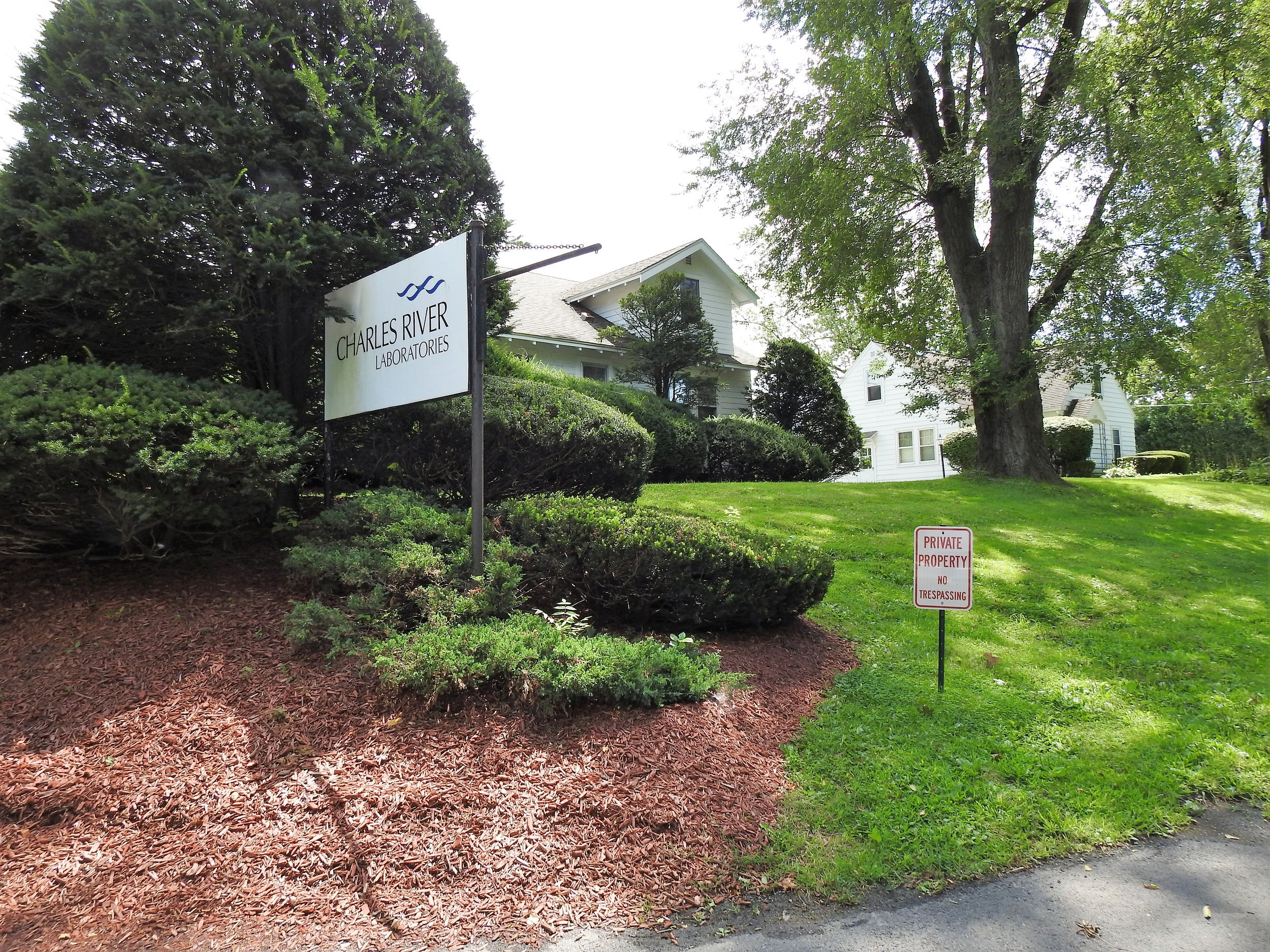 Charles River Lab Vigil #49