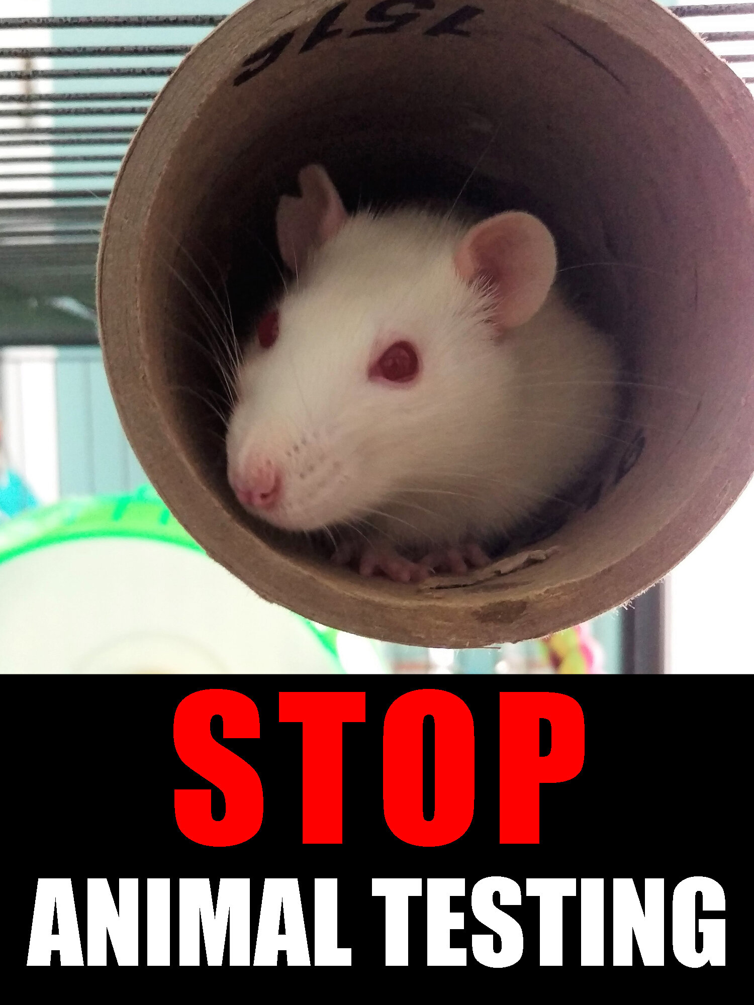 stop animal testing - ethel.jpg