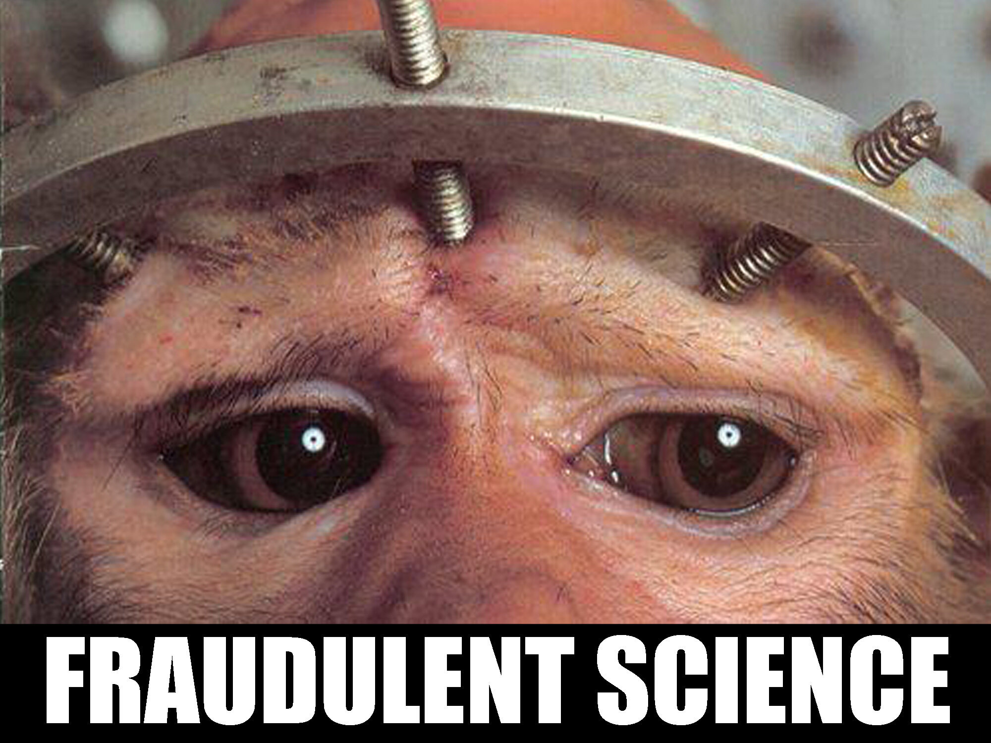 fraudulent science - monkey.jpg