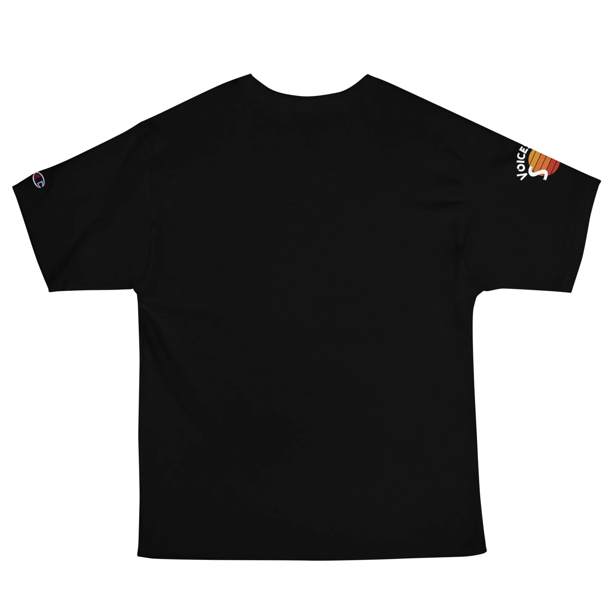 mens-champion-t-shirt-black-back-696b1f4dd9753.jpg