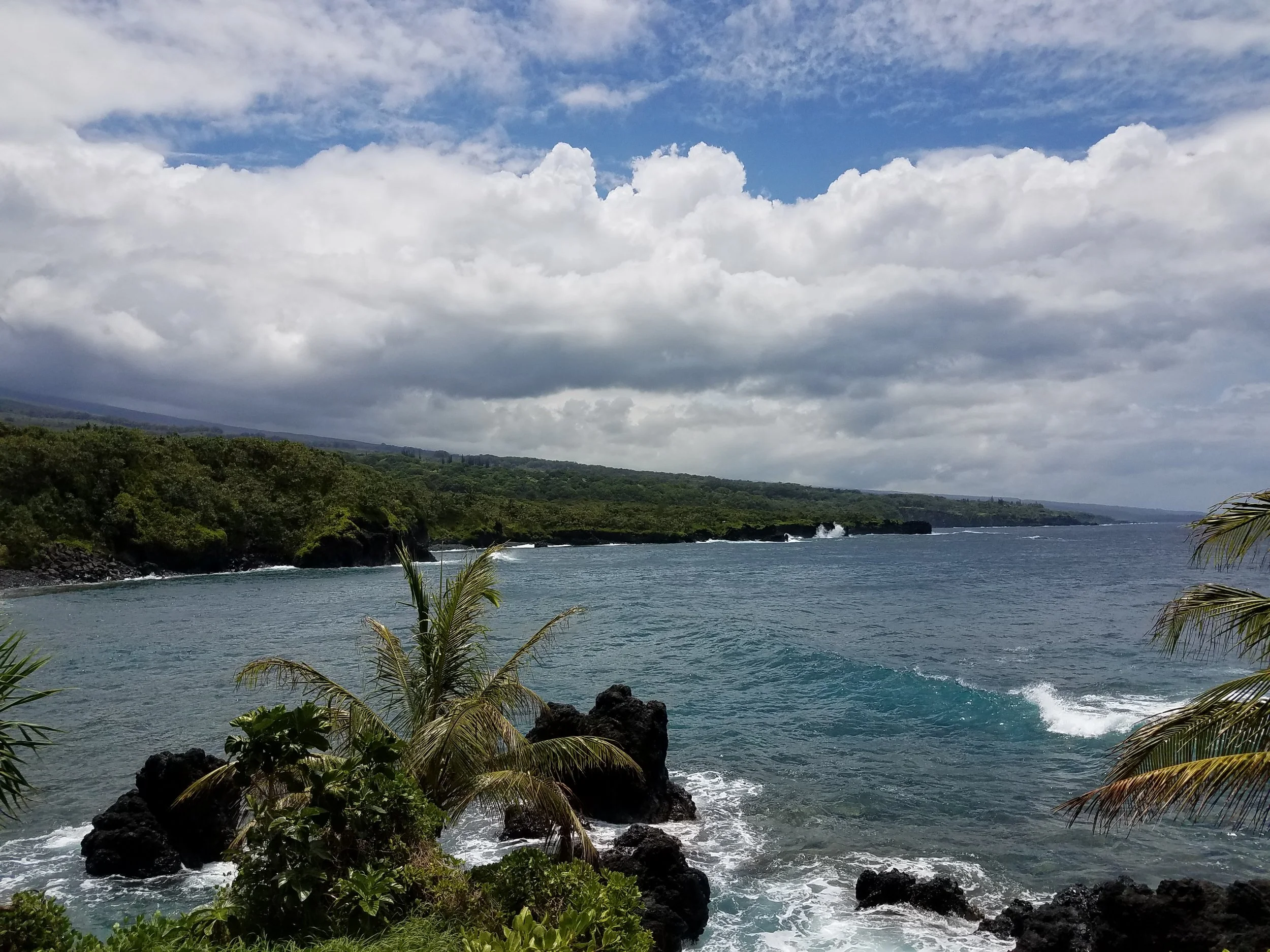 20170508_124750.jpg