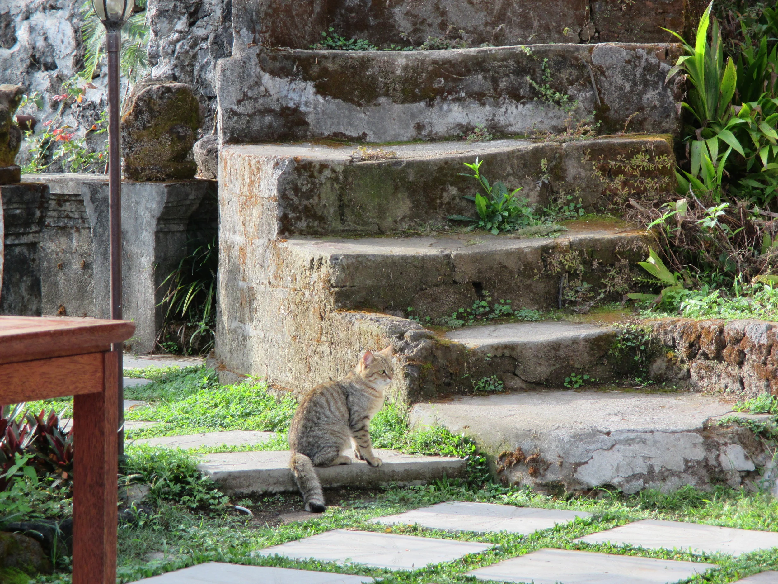 Bali 2015 330.JPG