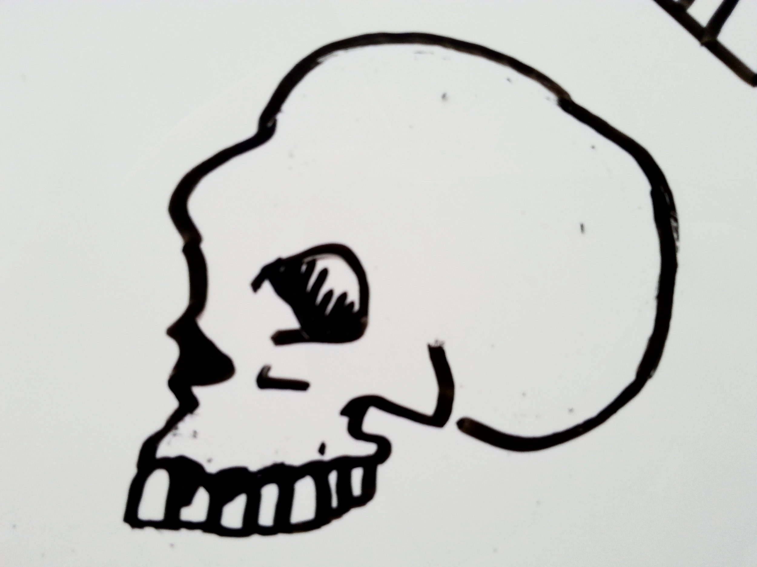 20160115_112926.jpg