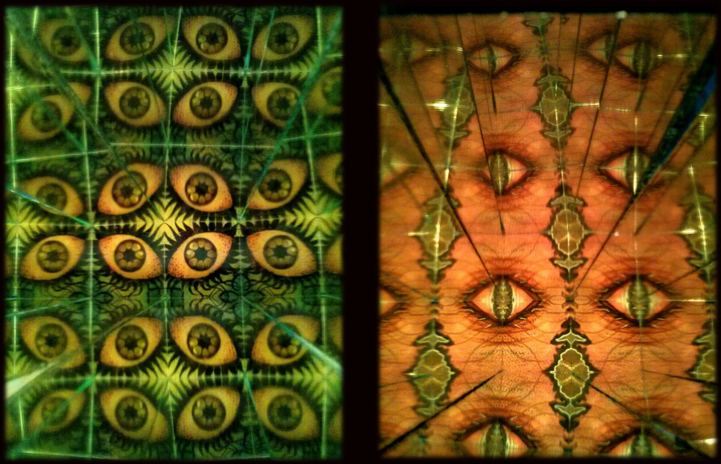 Quadscope copy.jpg