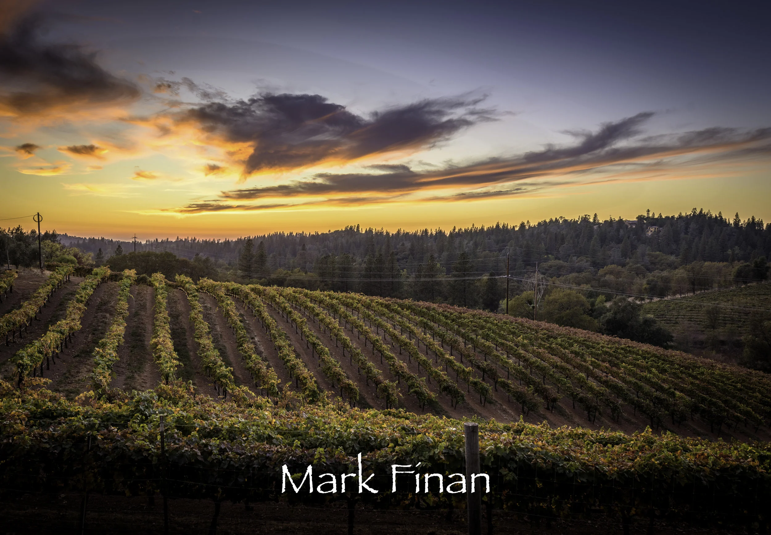 Boeger Sunset.jpg