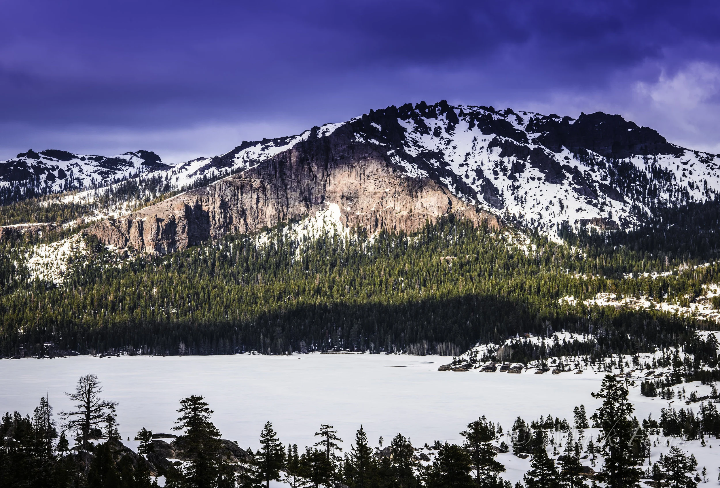 DSC_1208-Edit-Edit-2.jpg