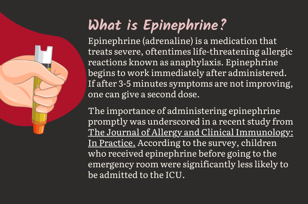 What is Epinephrine?