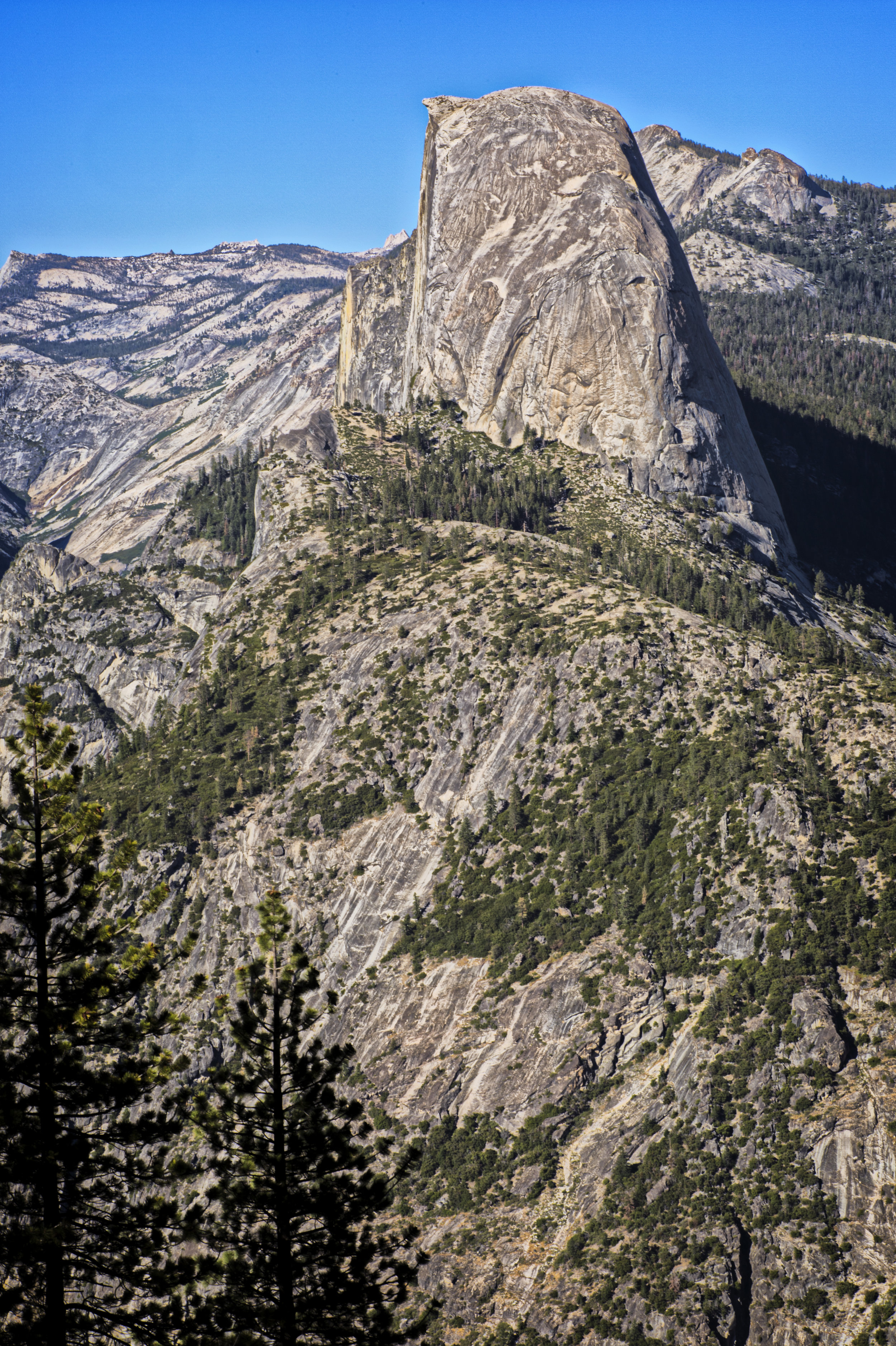 Yosemite_HDR7.jpg