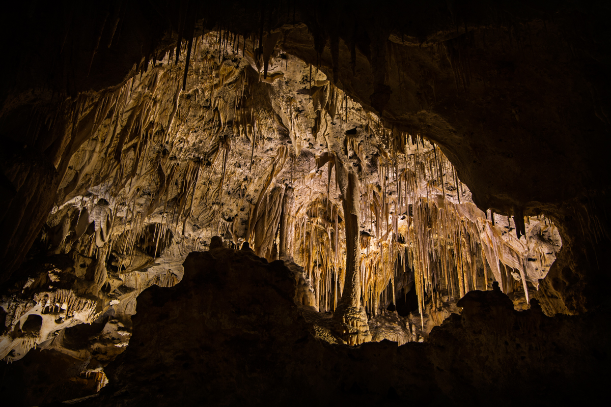 015_CarlsbadCaverns.jpg