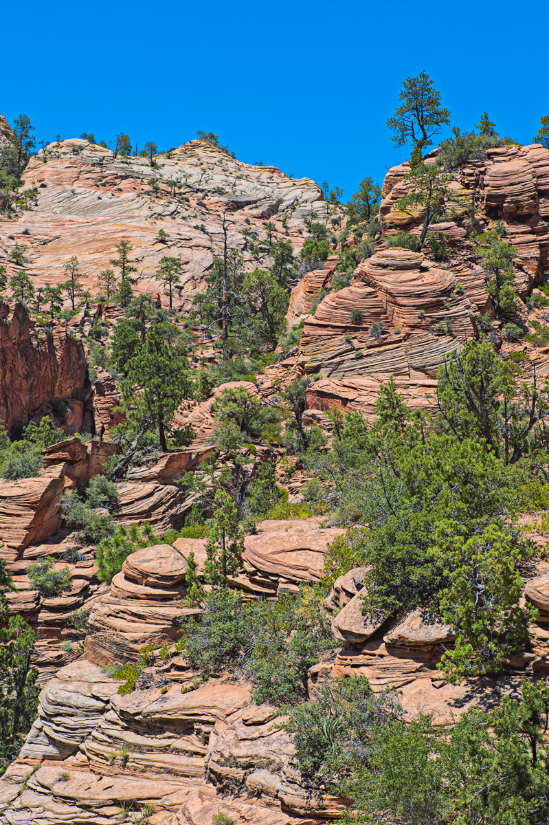 Zion_HDR4.jpg