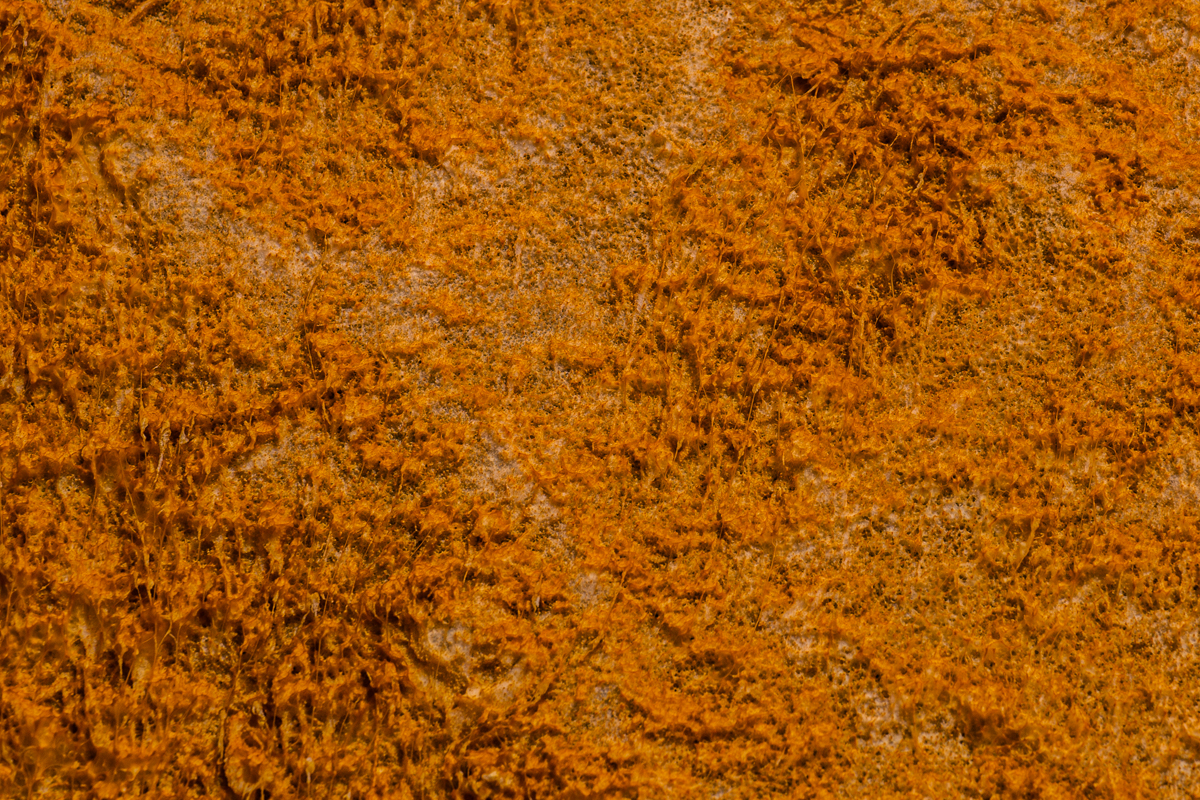026_Yellowstone.jpg