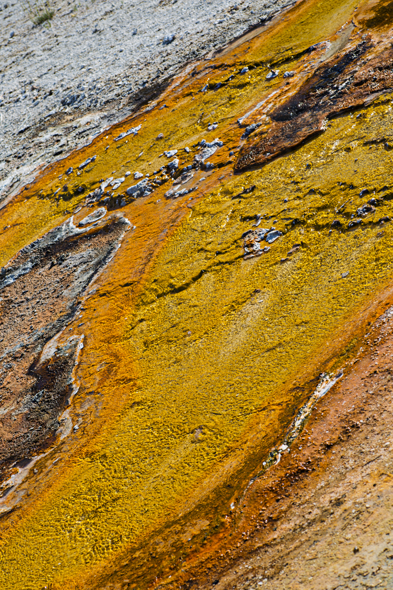 039_Yellowstone.jpg