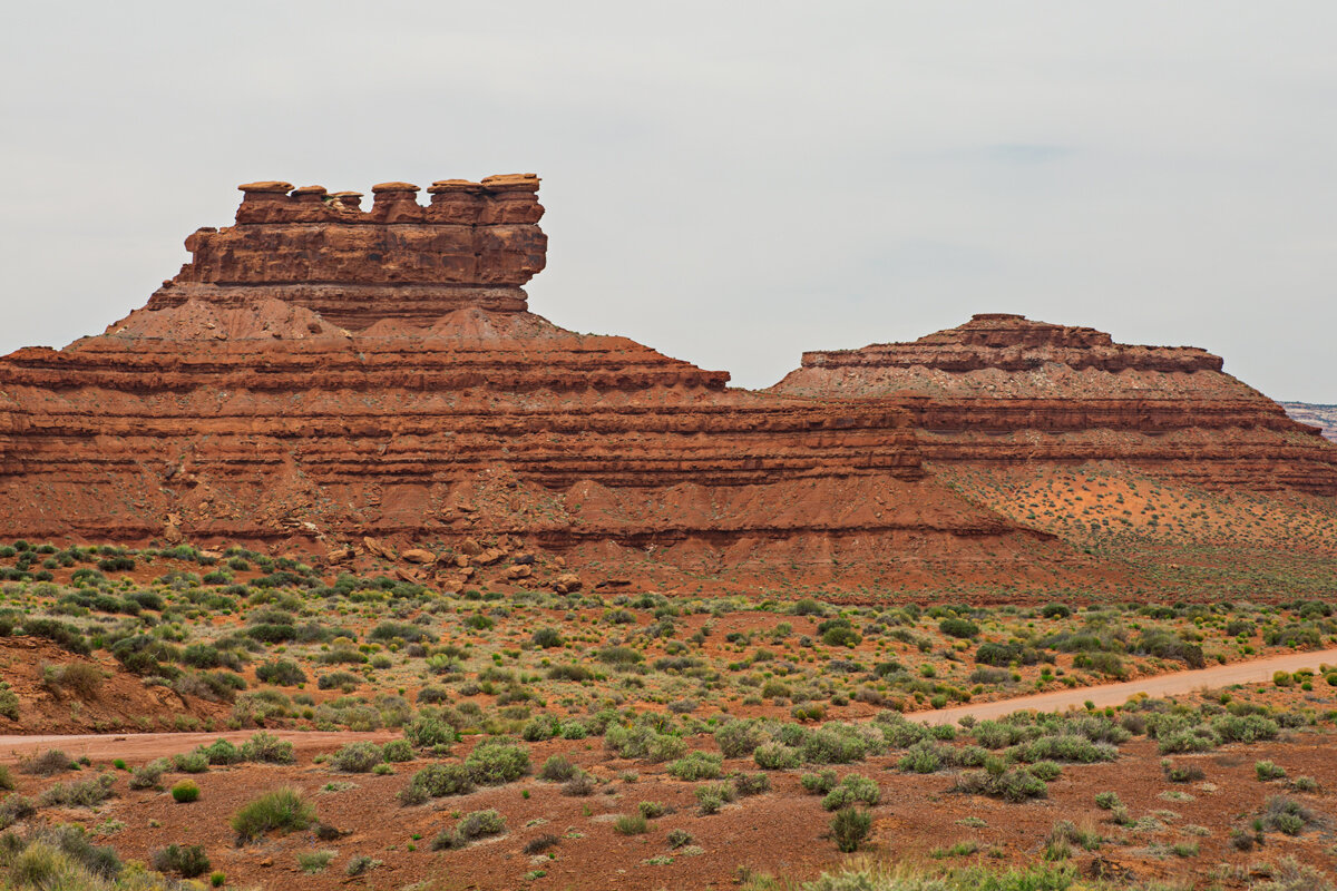 CT5A0677.jpg